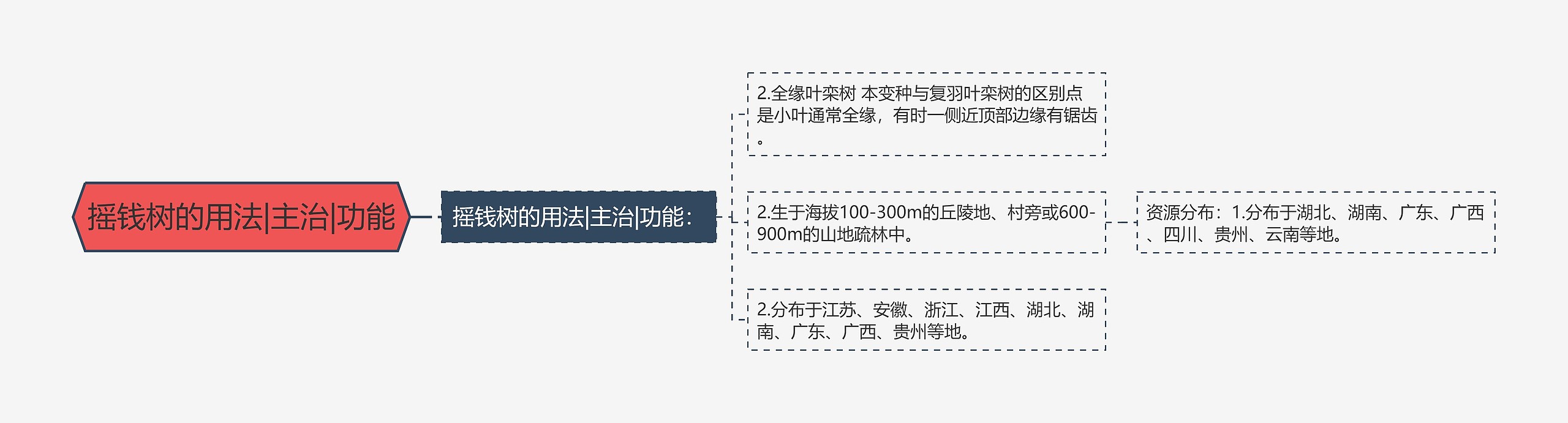 摇钱树的用法|主治|功能思维导图