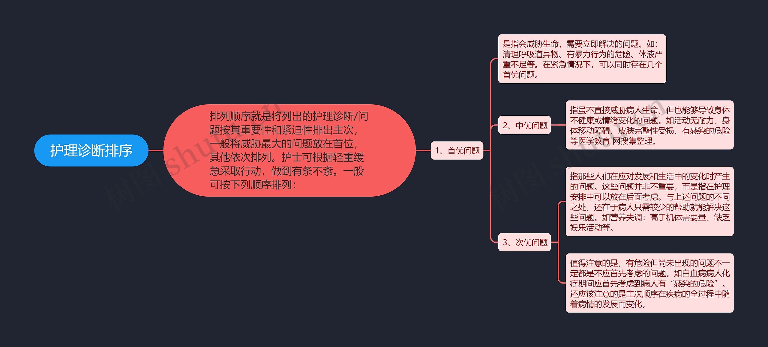 护理诊断排序