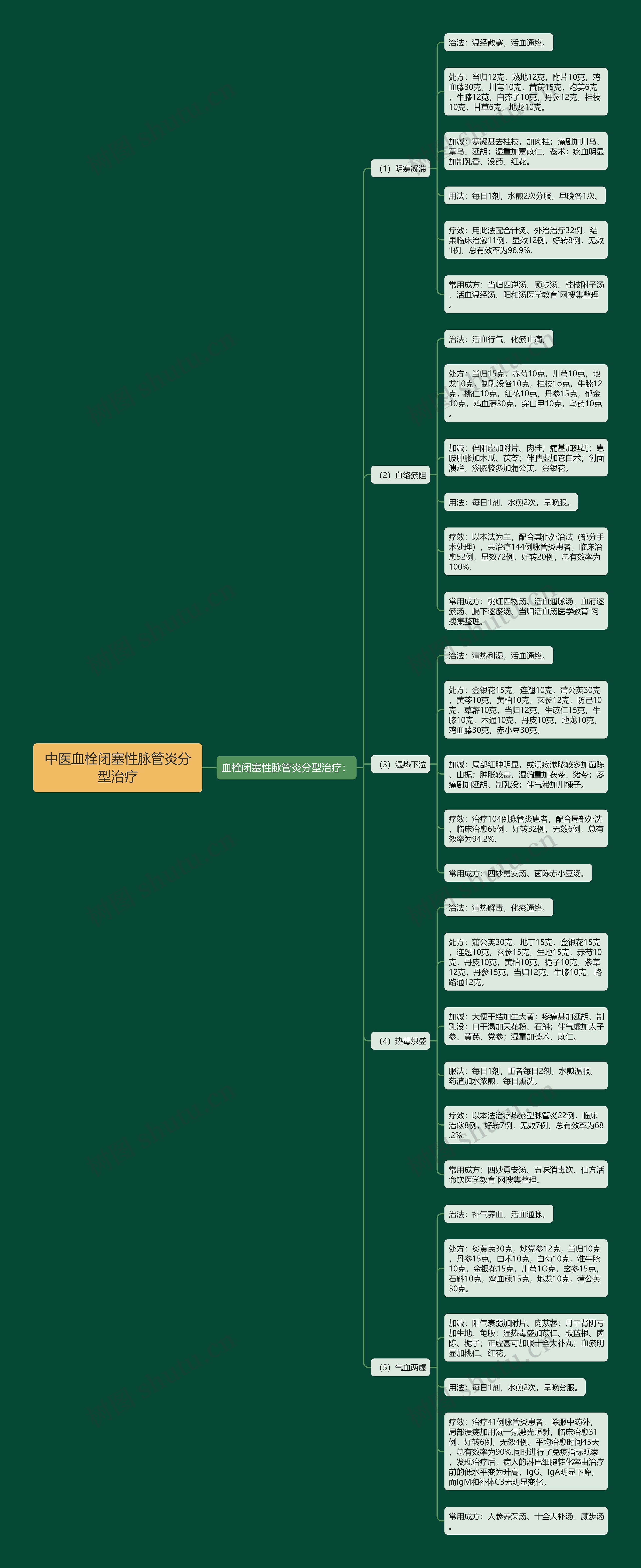 中医血栓闭塞性脉管炎分型治疗思维导图