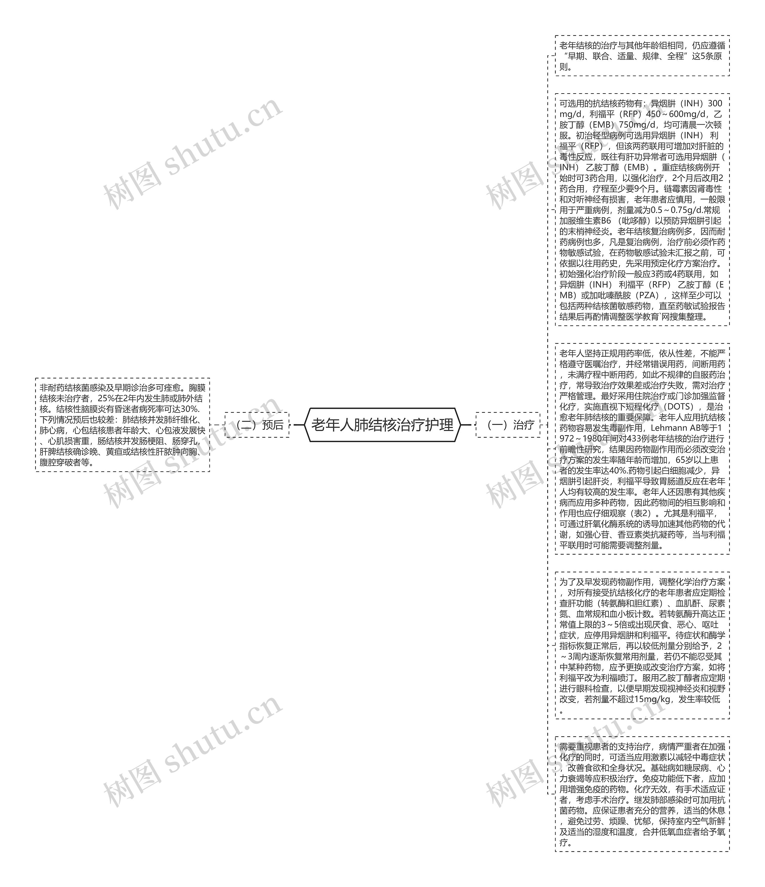 老年人肺结核治疗护理思维导图