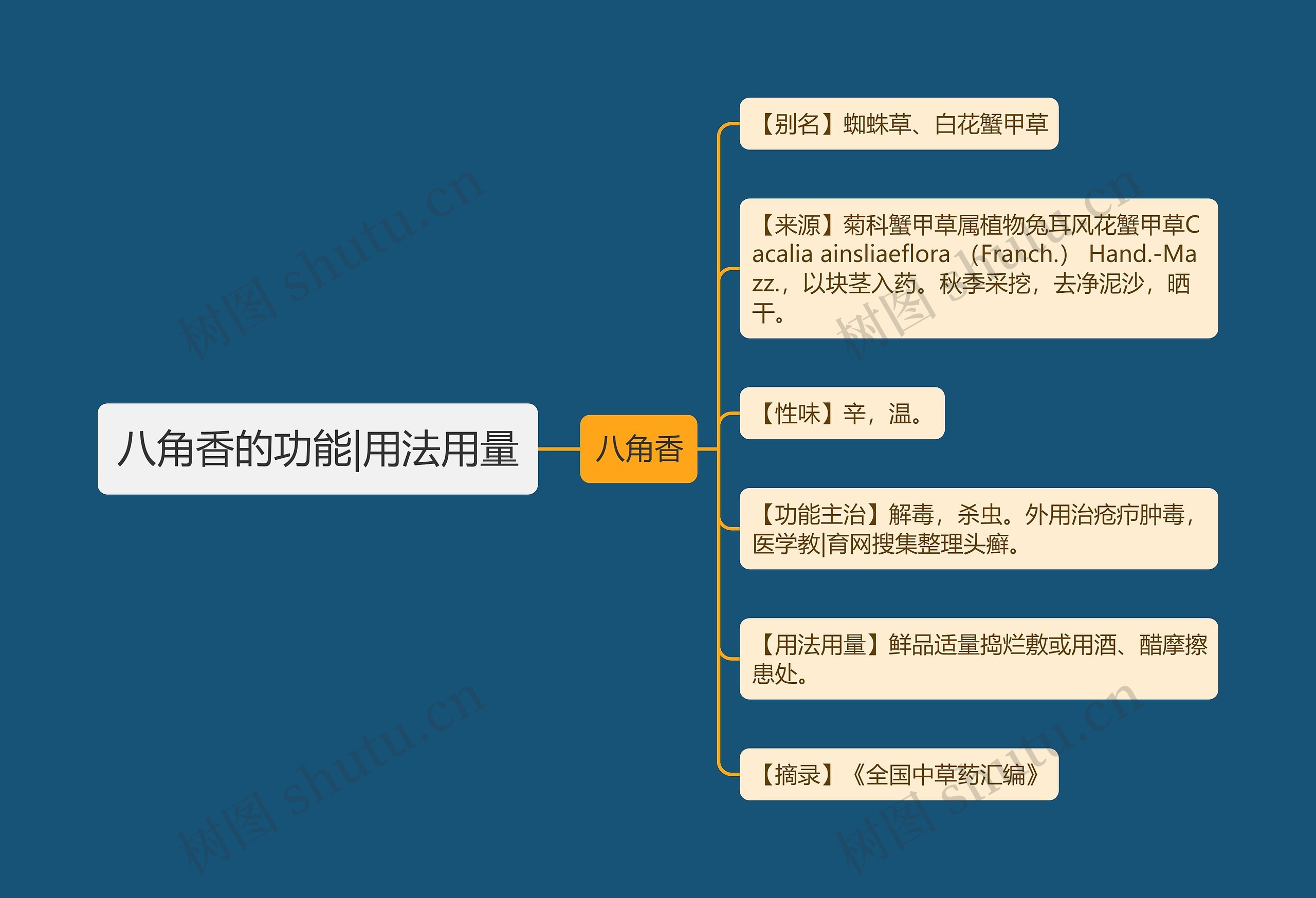 八角香的功能|用法用量 八角香的功能|用法用量