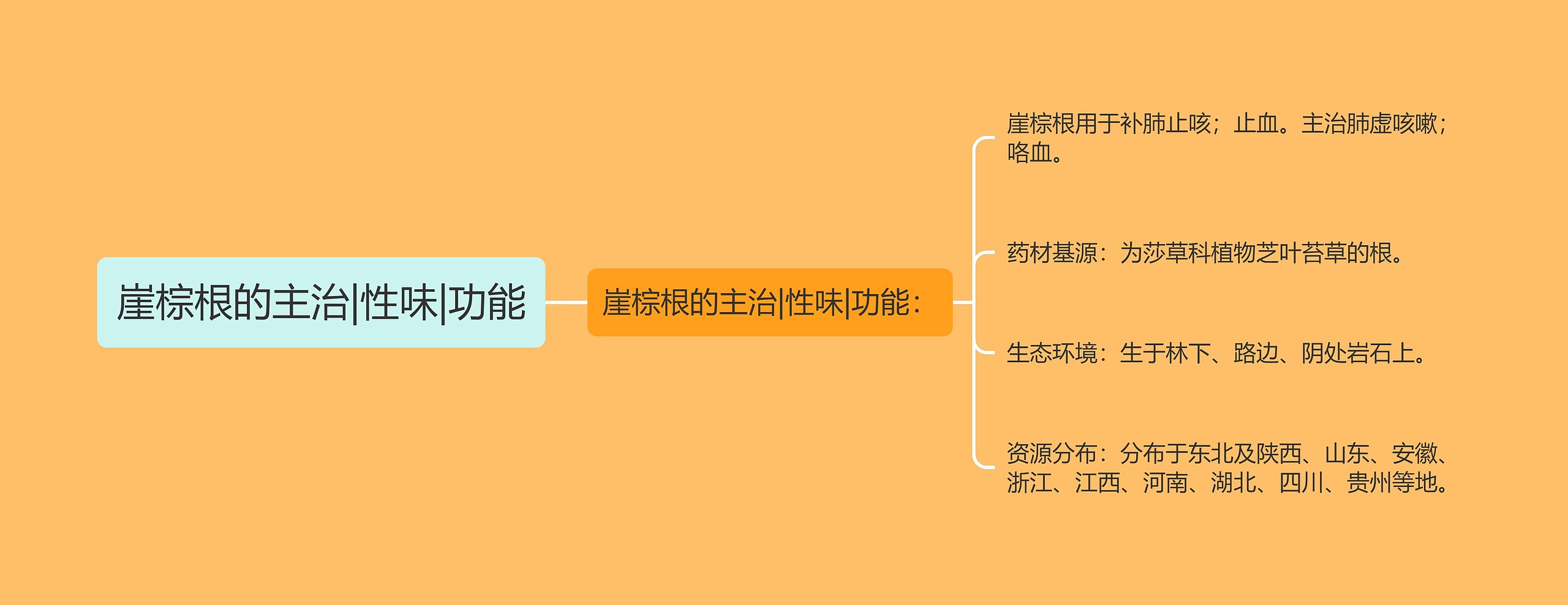 崖棕根的主治|性味|功能思维导图