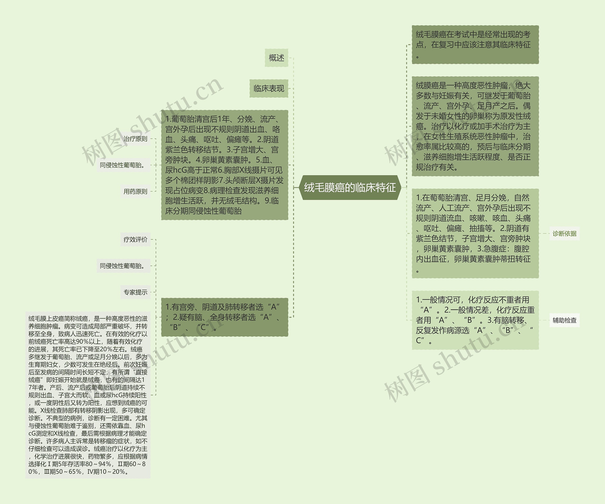 绒毛膜癌的临床特征