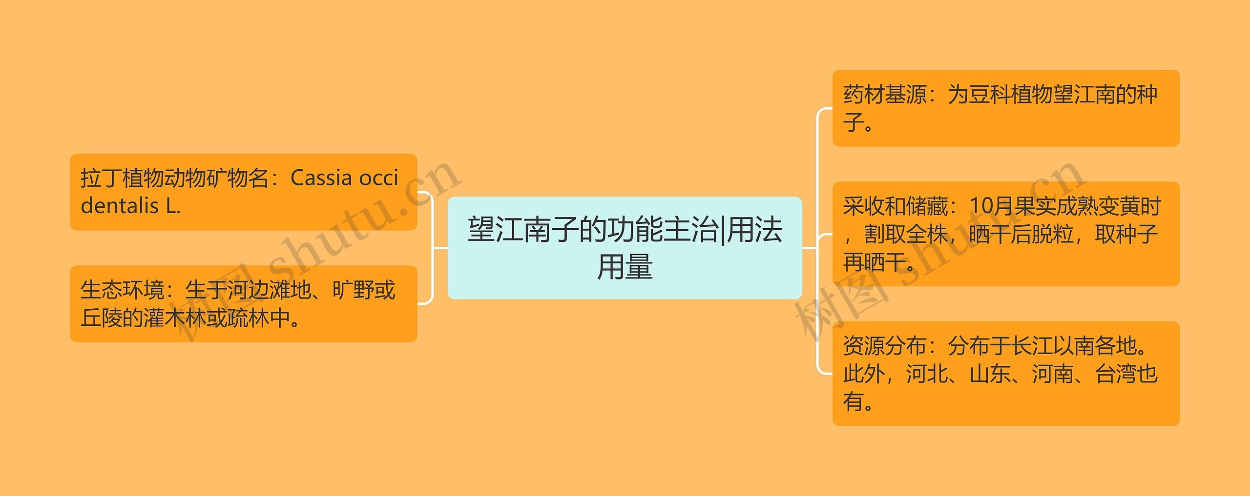 望江南子的功能主治|用法用量 望江南子的功能主治|用法用量