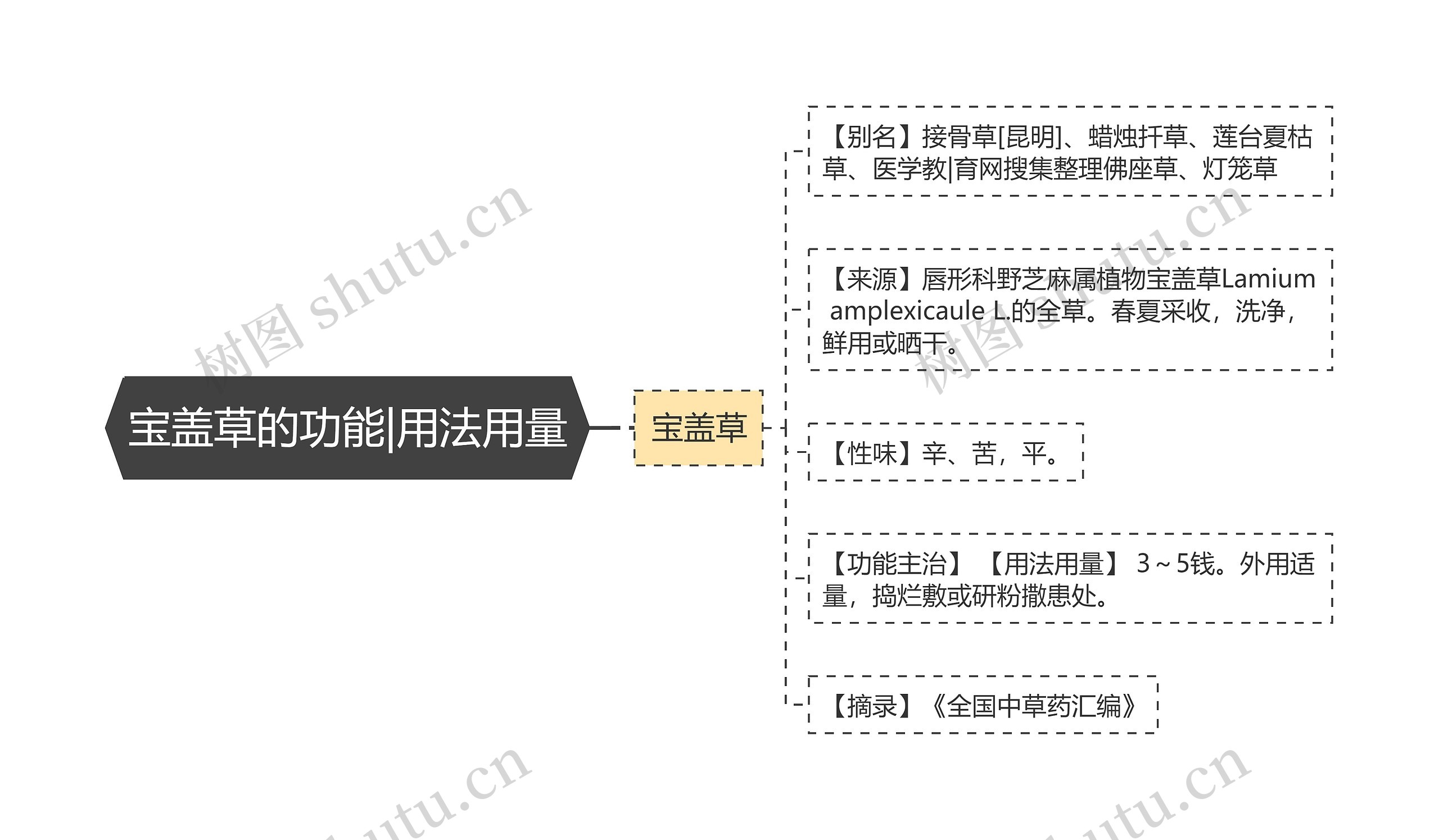 宝盖草的功能|用法用量 宝盖草的功能|用法用量
