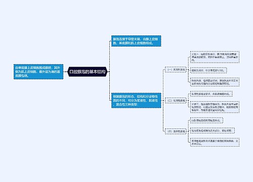 口腔腺泡的基本结构