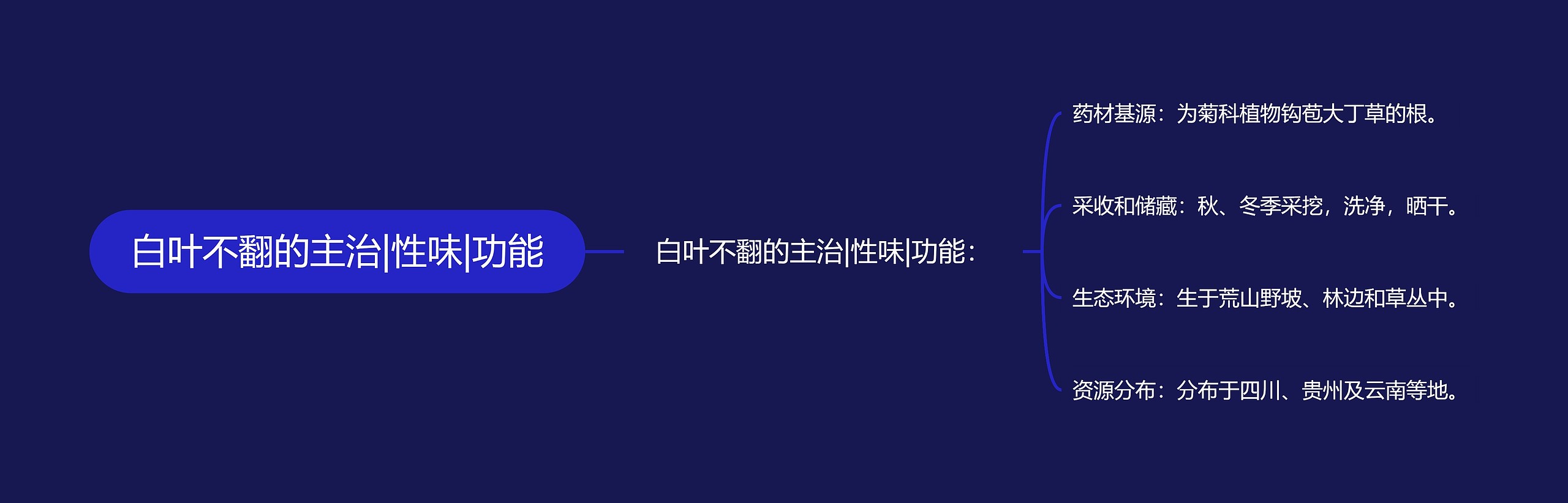 白叶不翻的主治|性味|功能思维导图