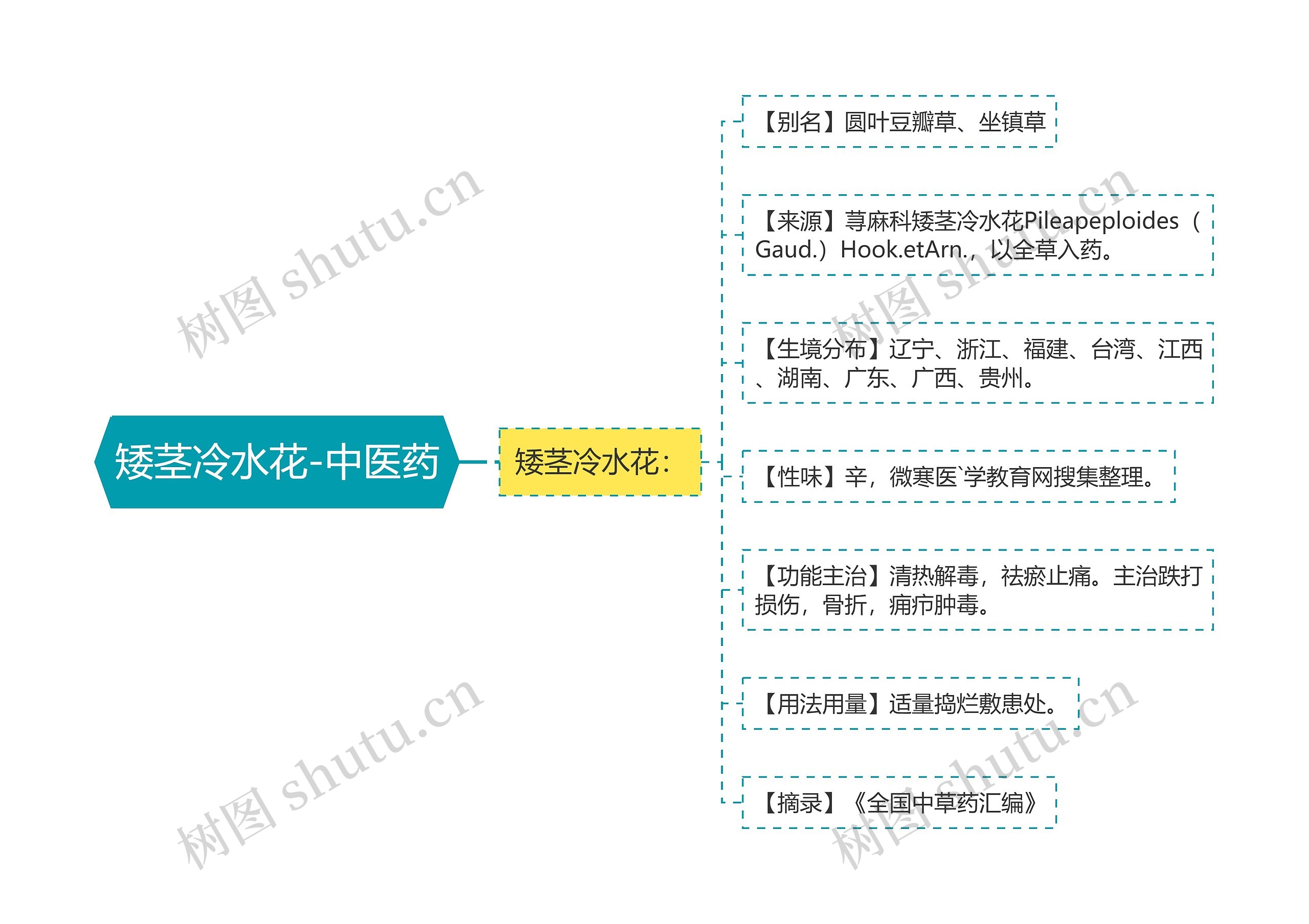 矮茎冷水花-中医药 矮茎冷水花-中医药