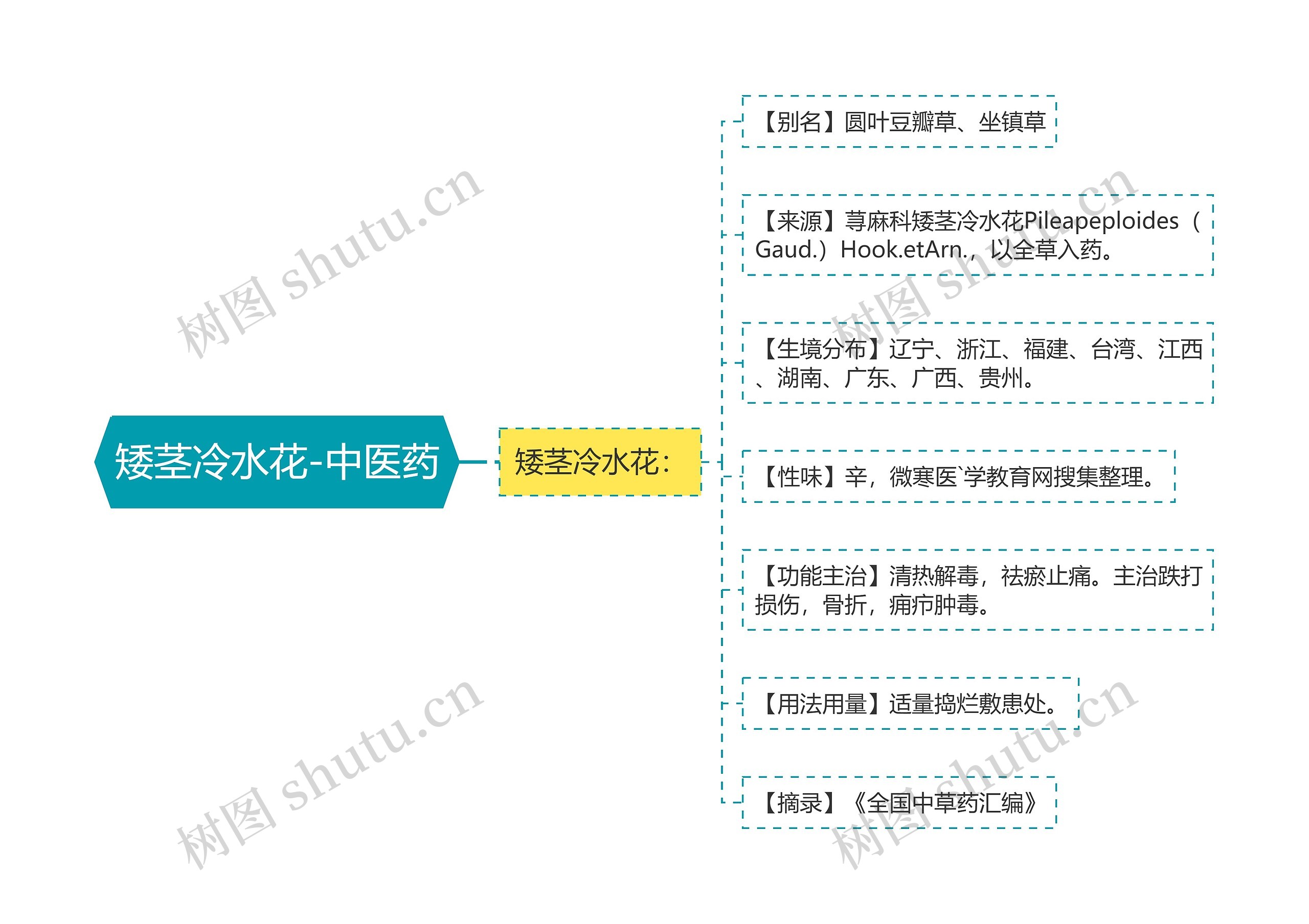 矮茎冷水花-中医药思维导图