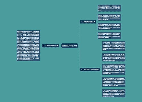 搞投资公司怎么样