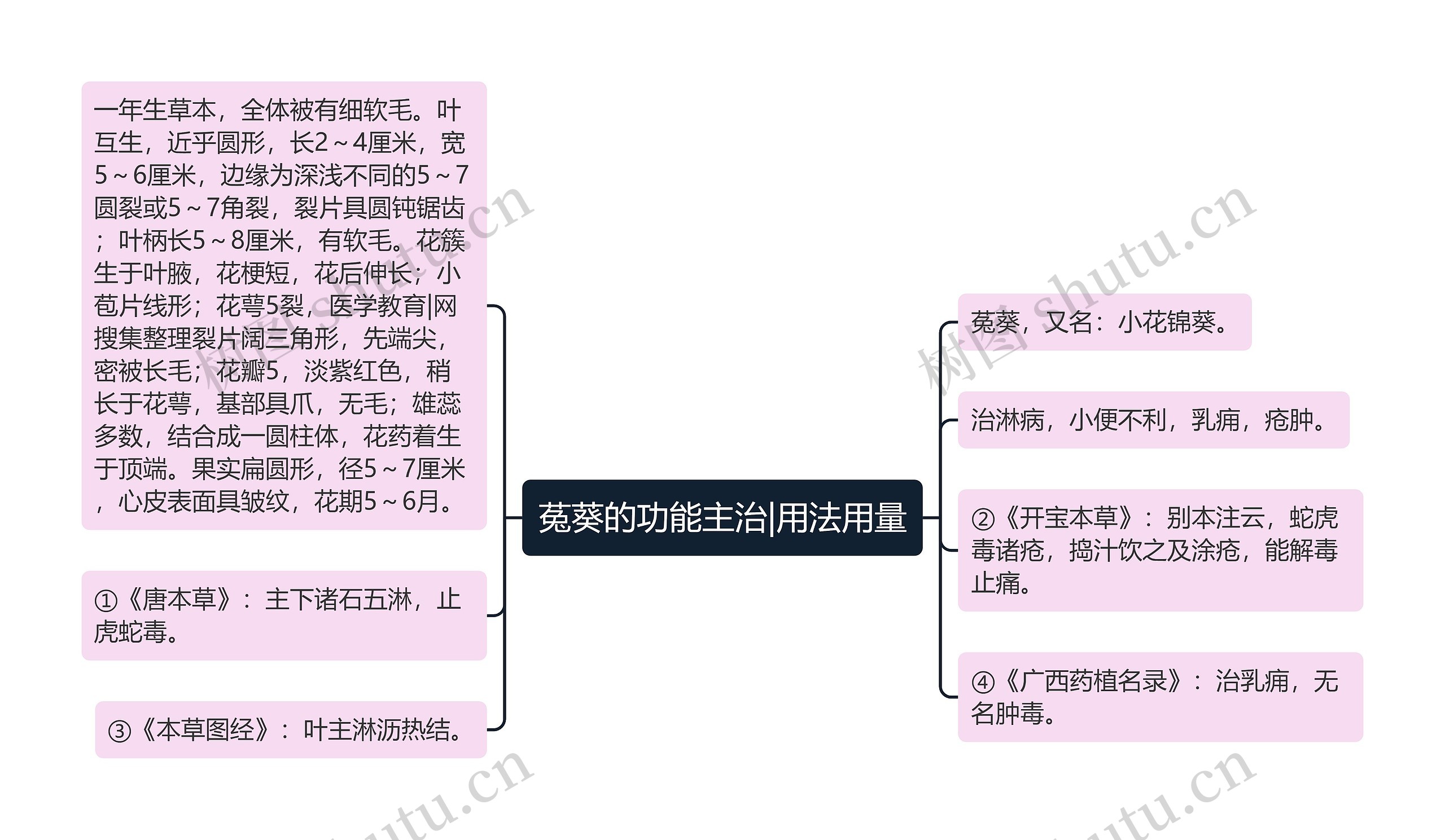 菟葵的功能主治|用法用量思维导图