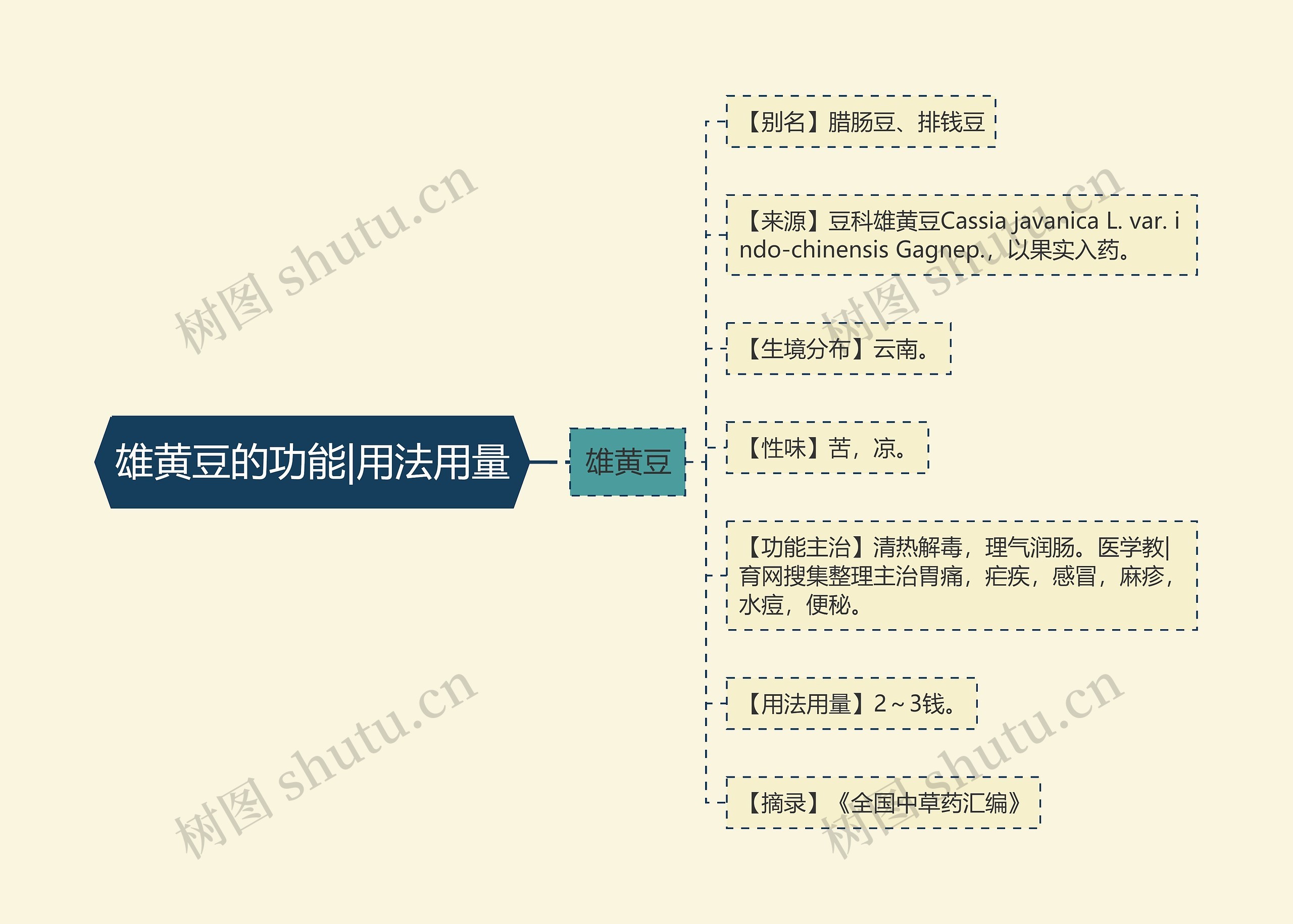 雄黄豆的功能|用法用量思维导图