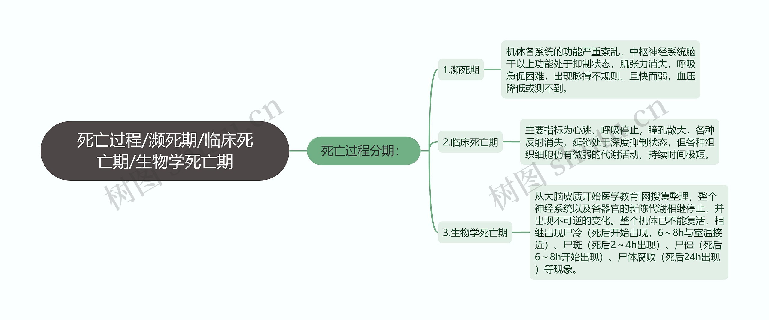 死亡过程/濒死期/临床死亡期/生物学死亡期思维导图