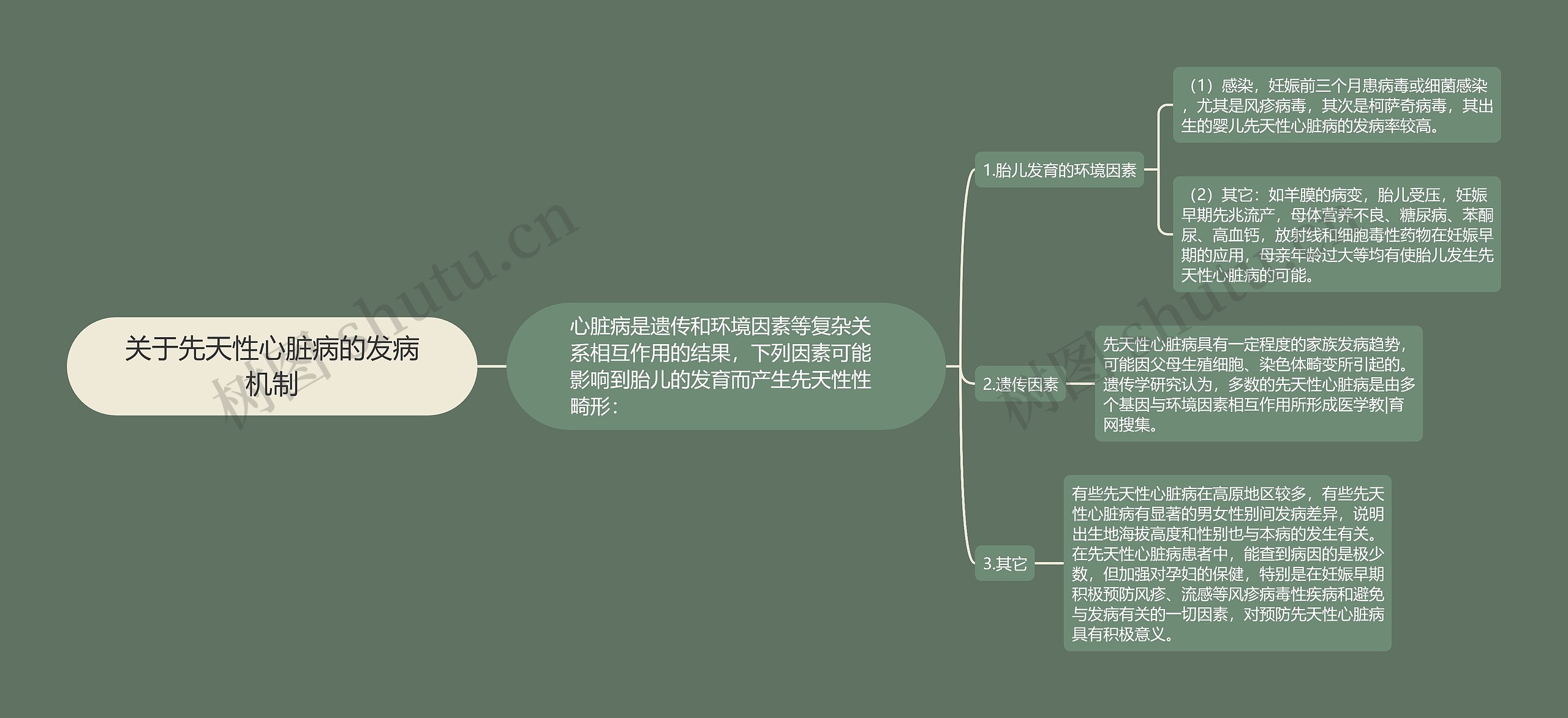 关于先天性心脏病的发病机制