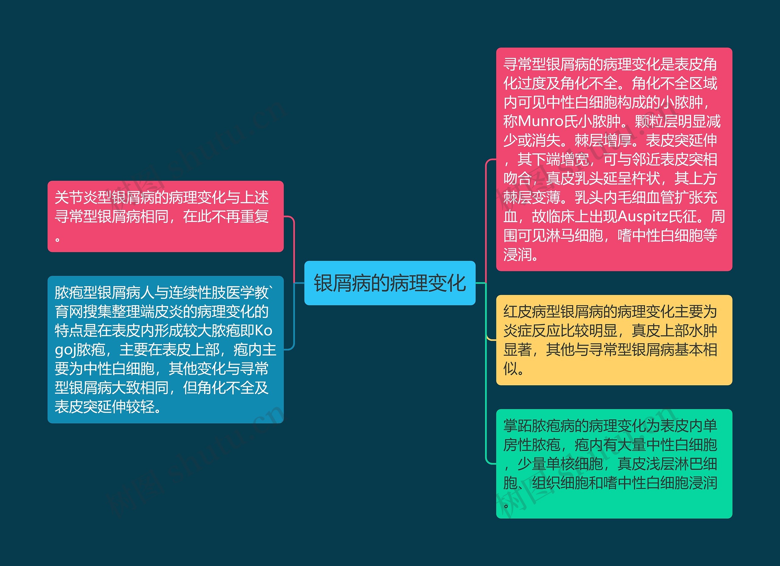 银屑病的病理变化 银屑病的病理变化