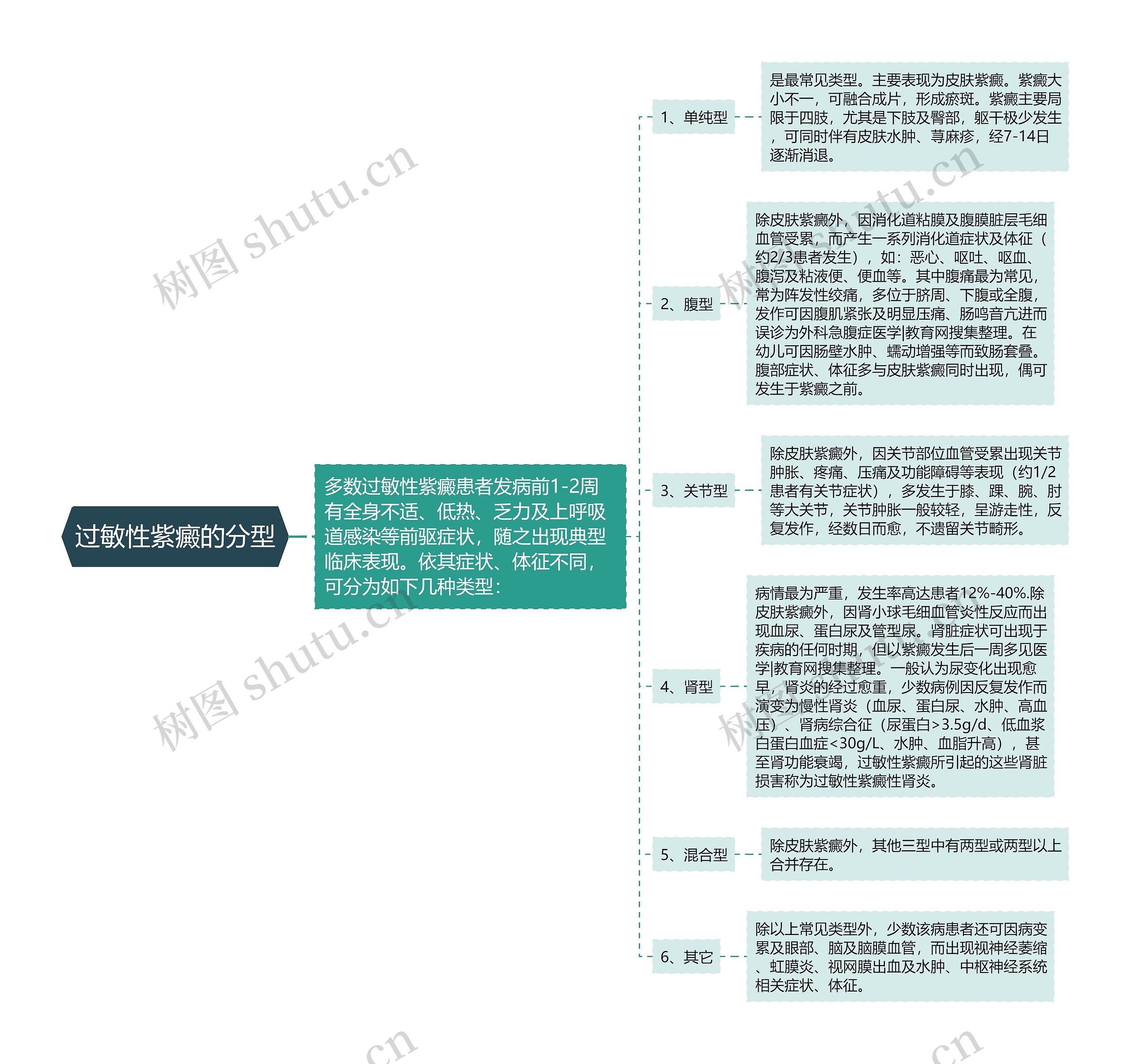 过敏性紫癜的分型思维导图