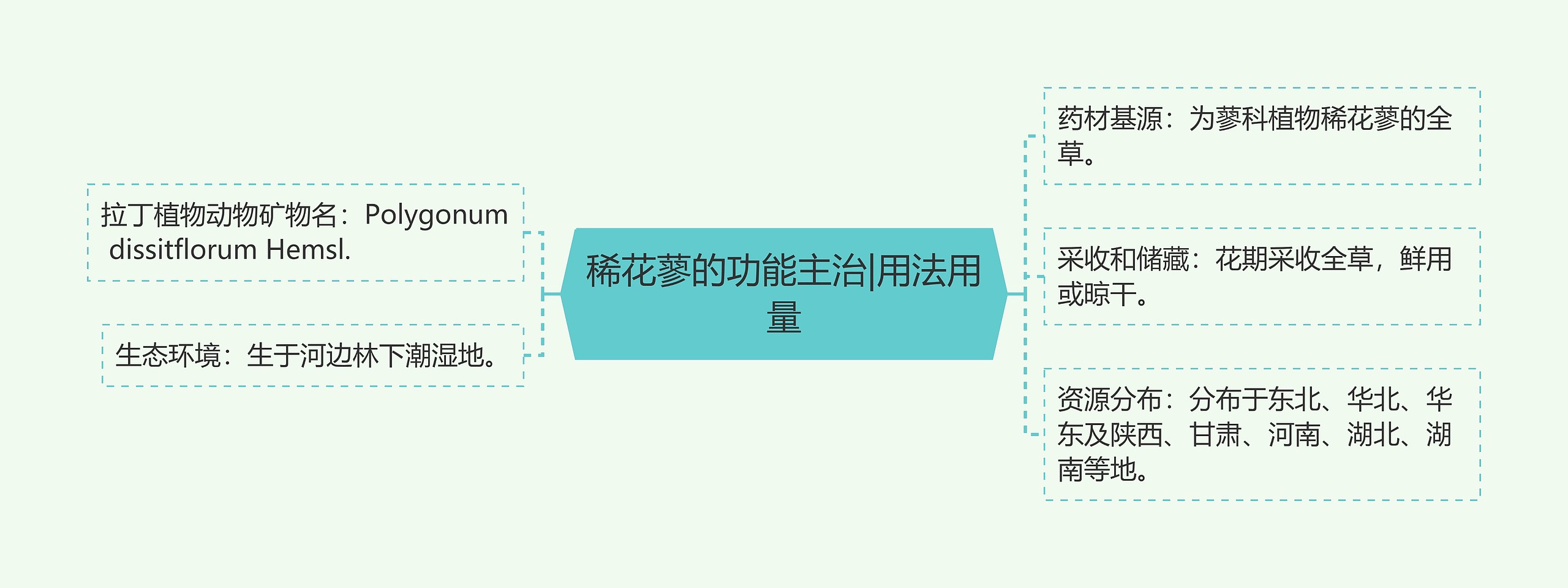 稀花蓼的功能主治|用法用量 稀花蓼的功能主治|用法用量
