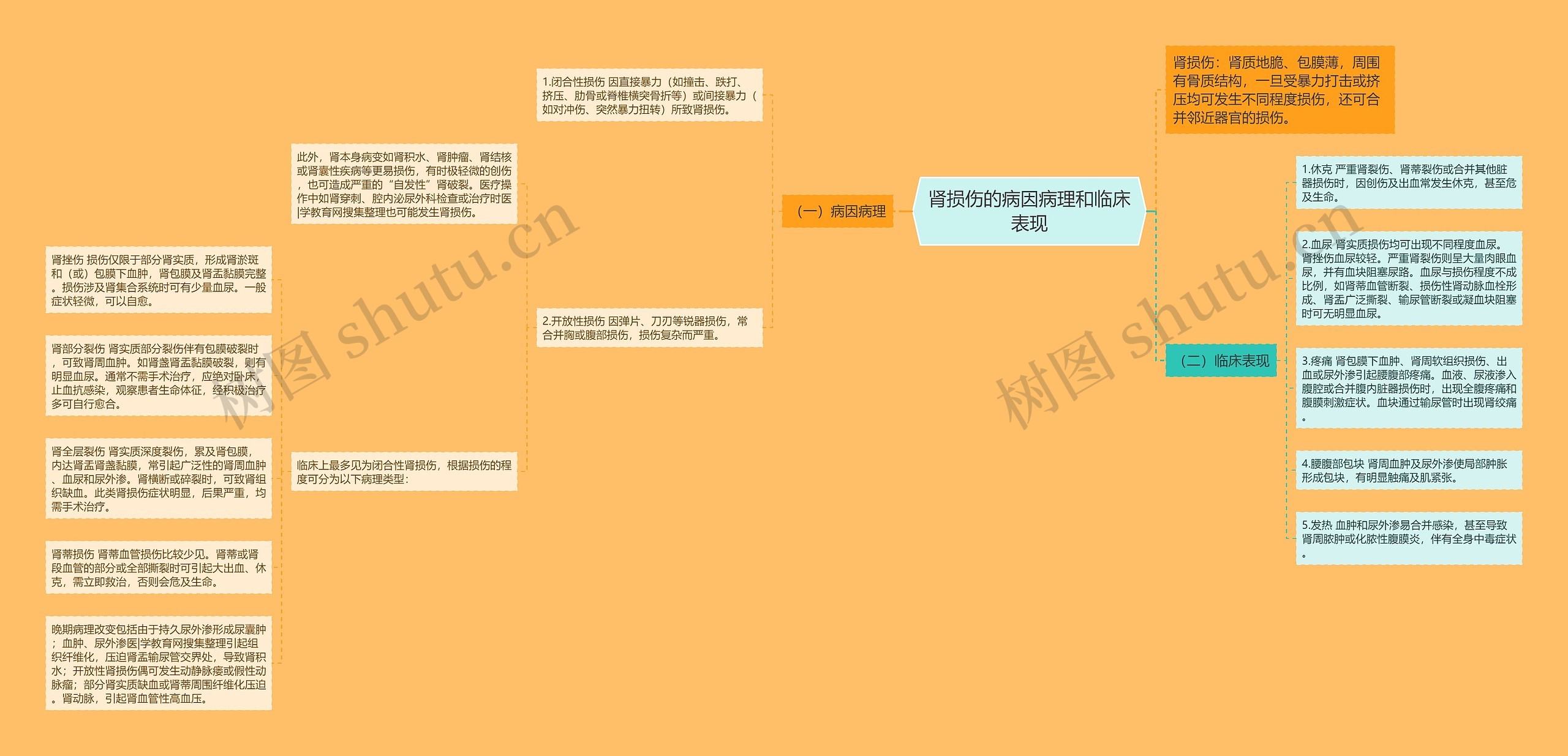 肾损伤的病因病理和临床表现 肾损伤的病因病理和临床表现