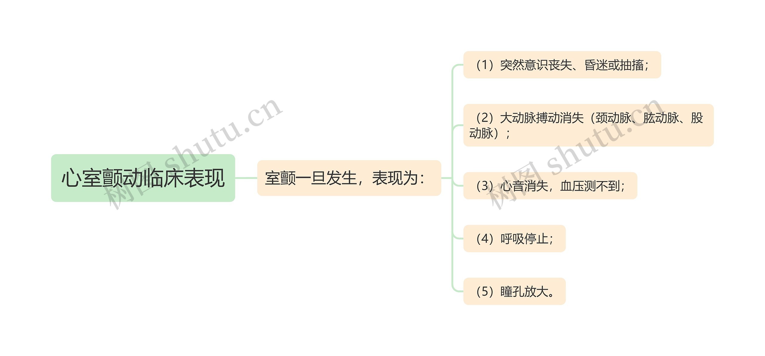 心室颤动临床表现思维导图