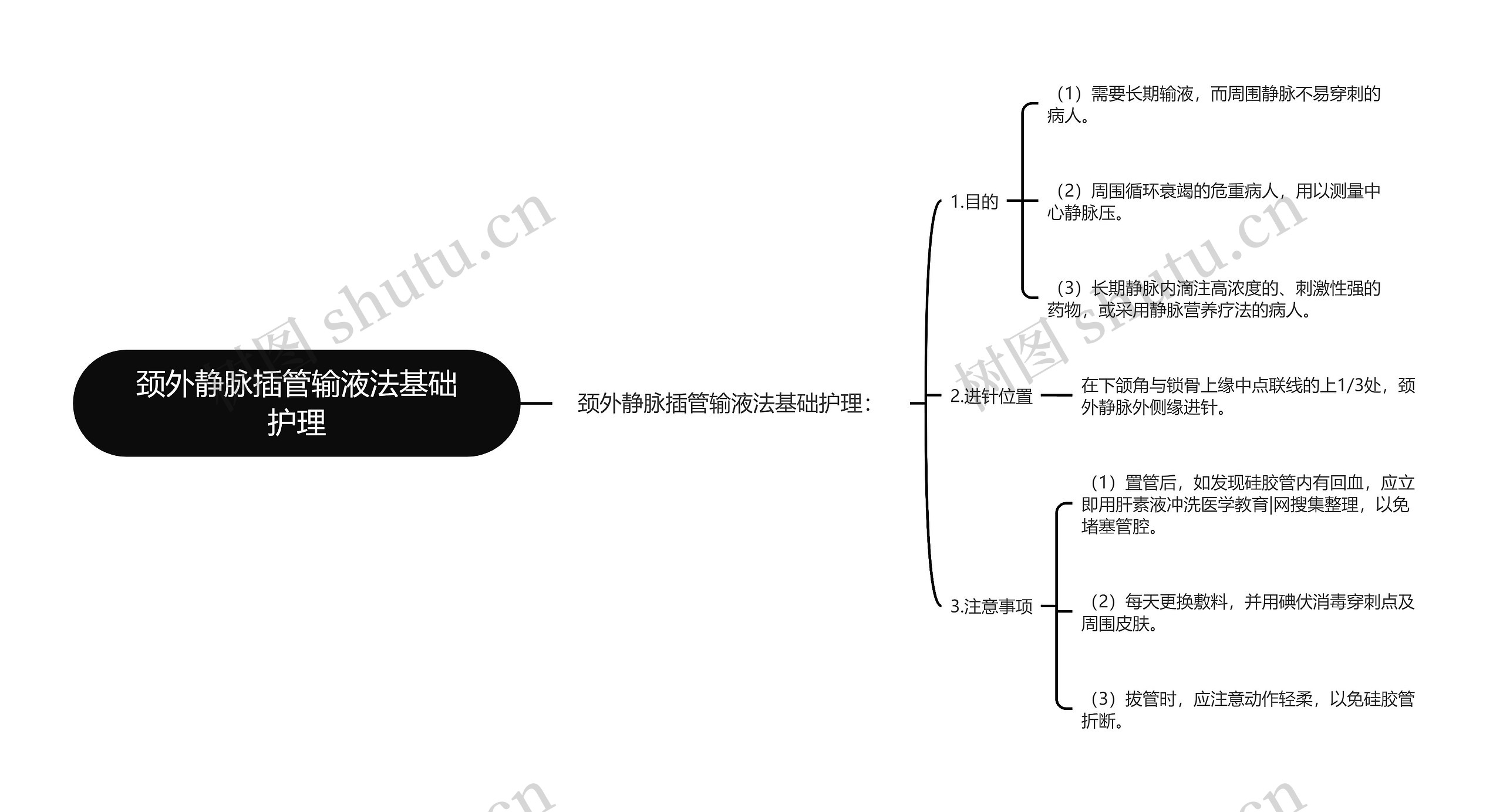 颈外静脉插管输液法基础护理