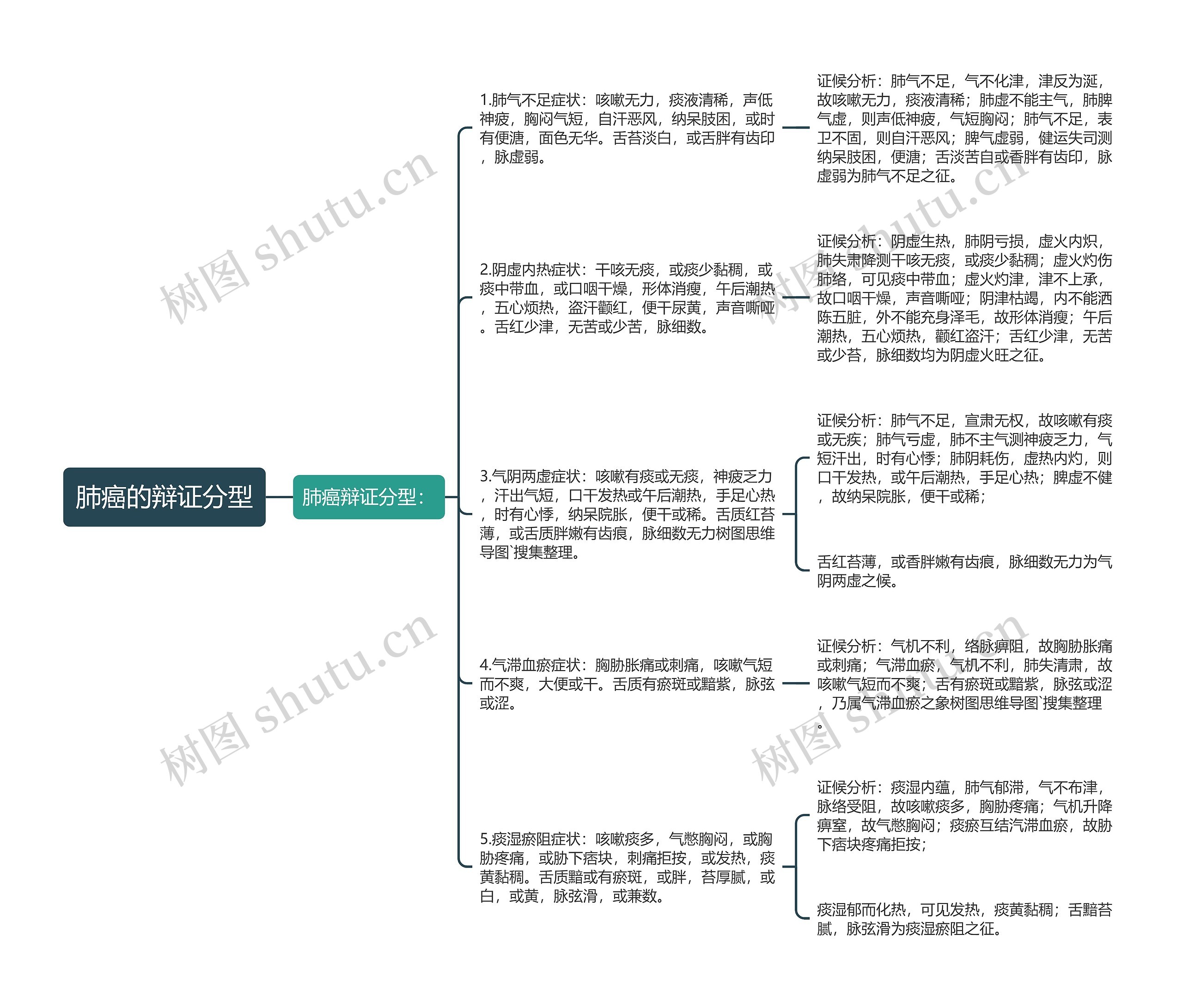 肺癌的辩证分型思维导图