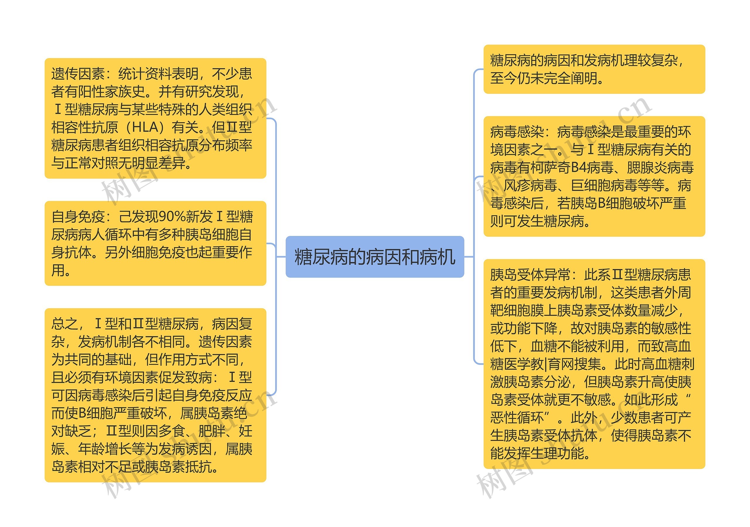 糖尿病的病因和病机思维导图