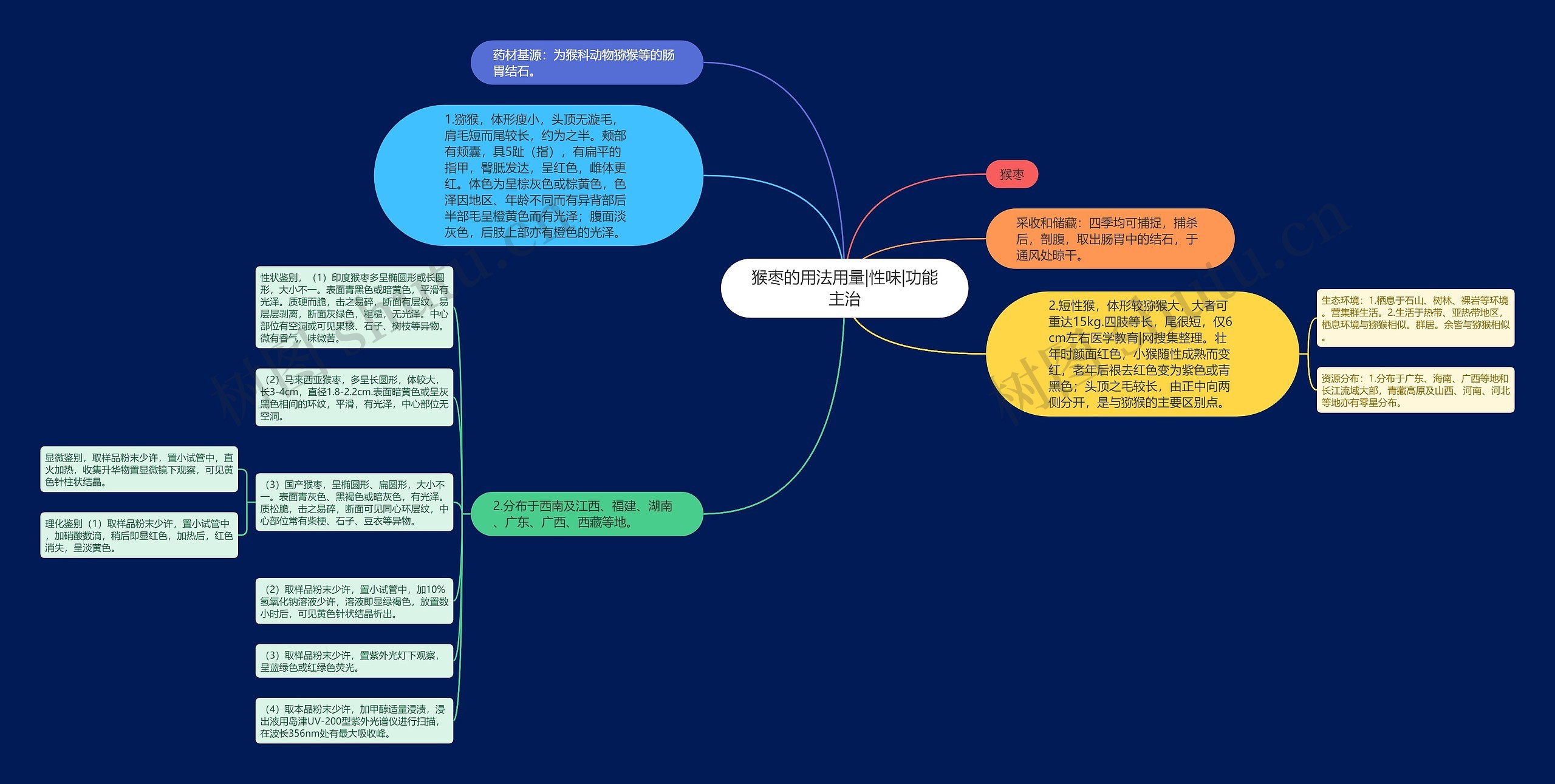 猴枣的用法用量|性味|功能主治思维导图