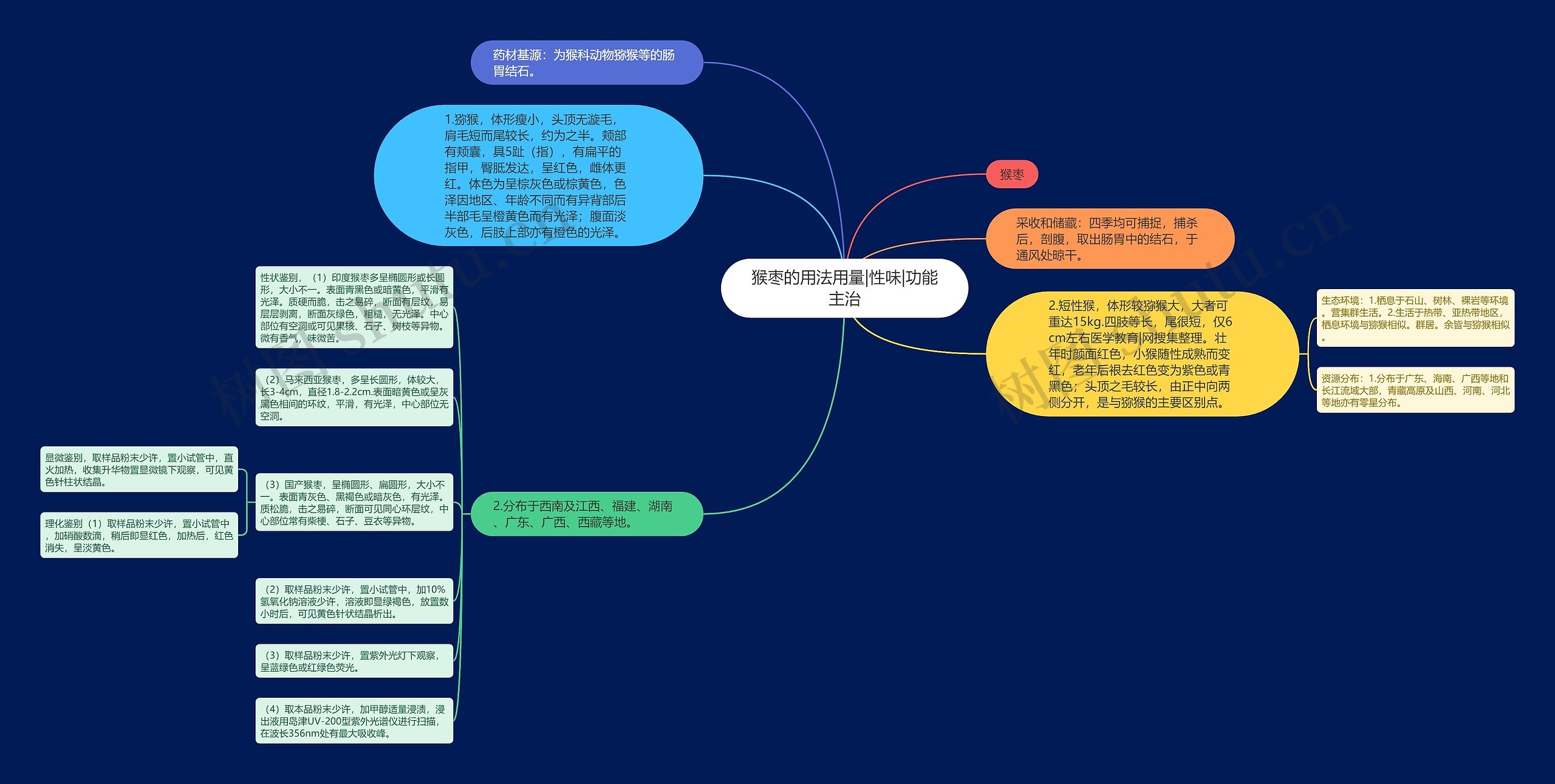 猴枣的用法用量|性味|功能主治 猴枣的用法用量|性味|功能主治