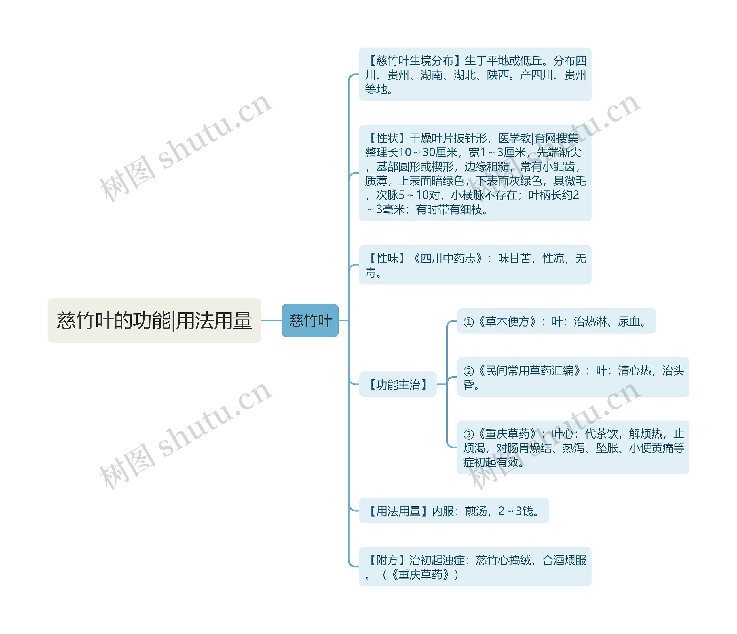 慈竹叶的功能|用法用量