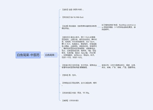 白鱼尾果-中医药
