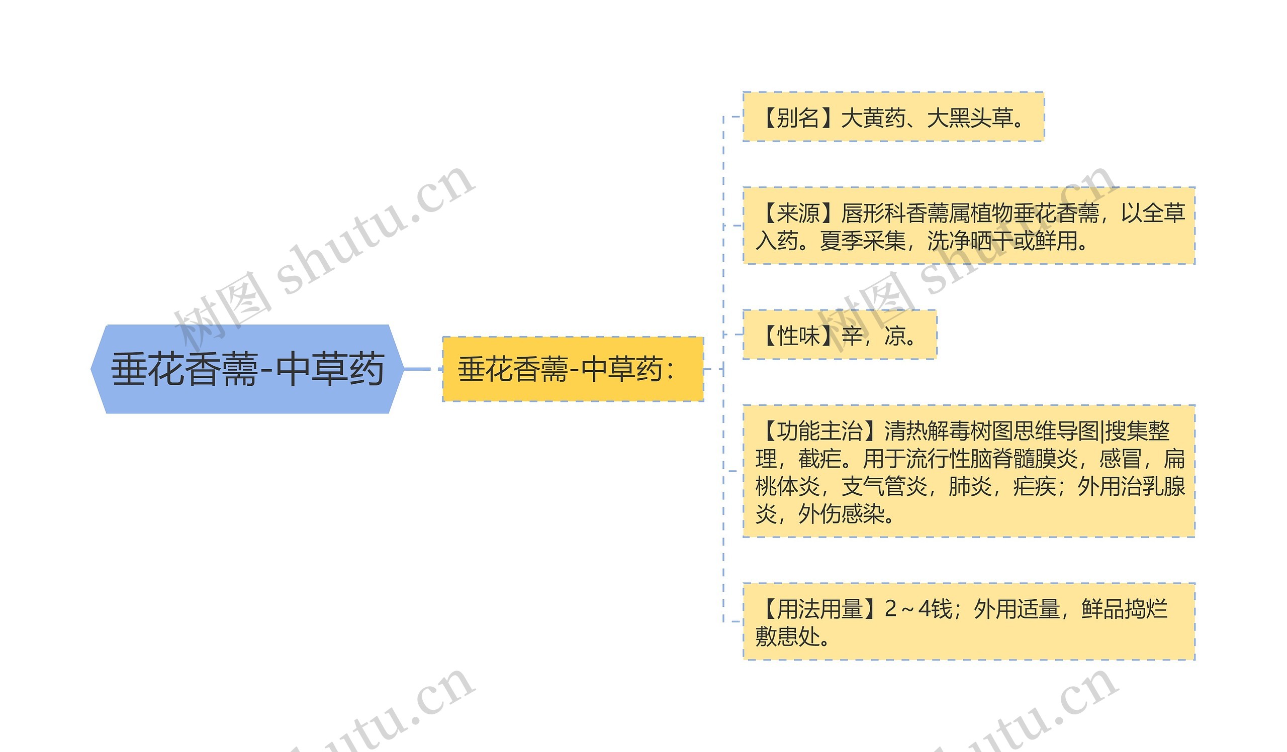 垂花香薷-中草药思维导图