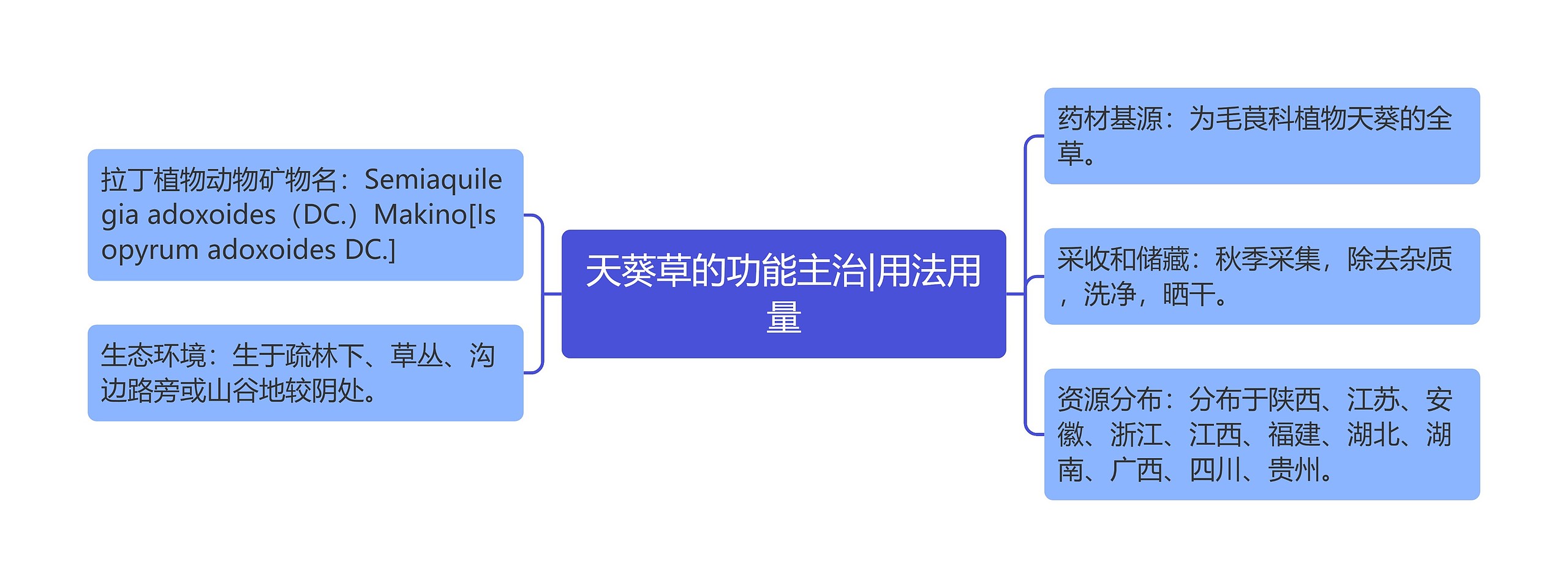 天葵草的功能主治|用法用量思维导图