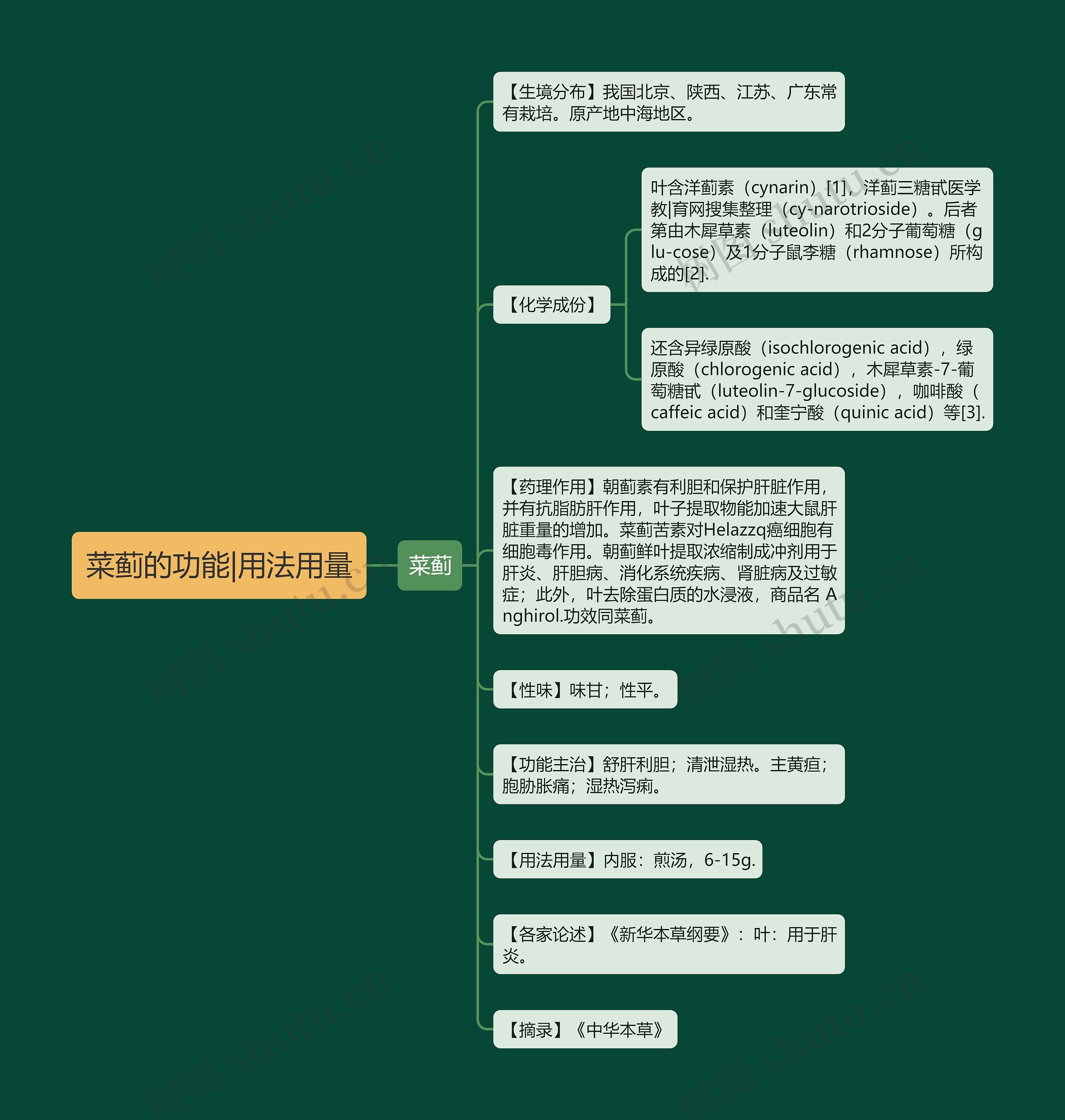 菜蓟的功能|用法用量思维导图