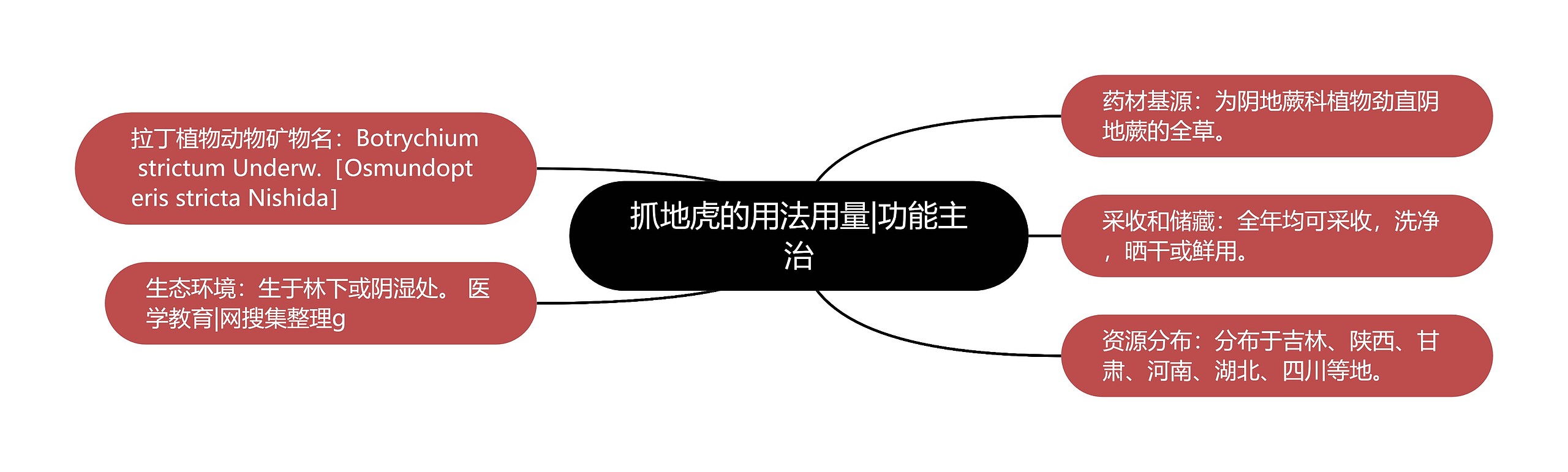抓地虎的用法用量|功能主治 抓地虎的用法用量|功能主治