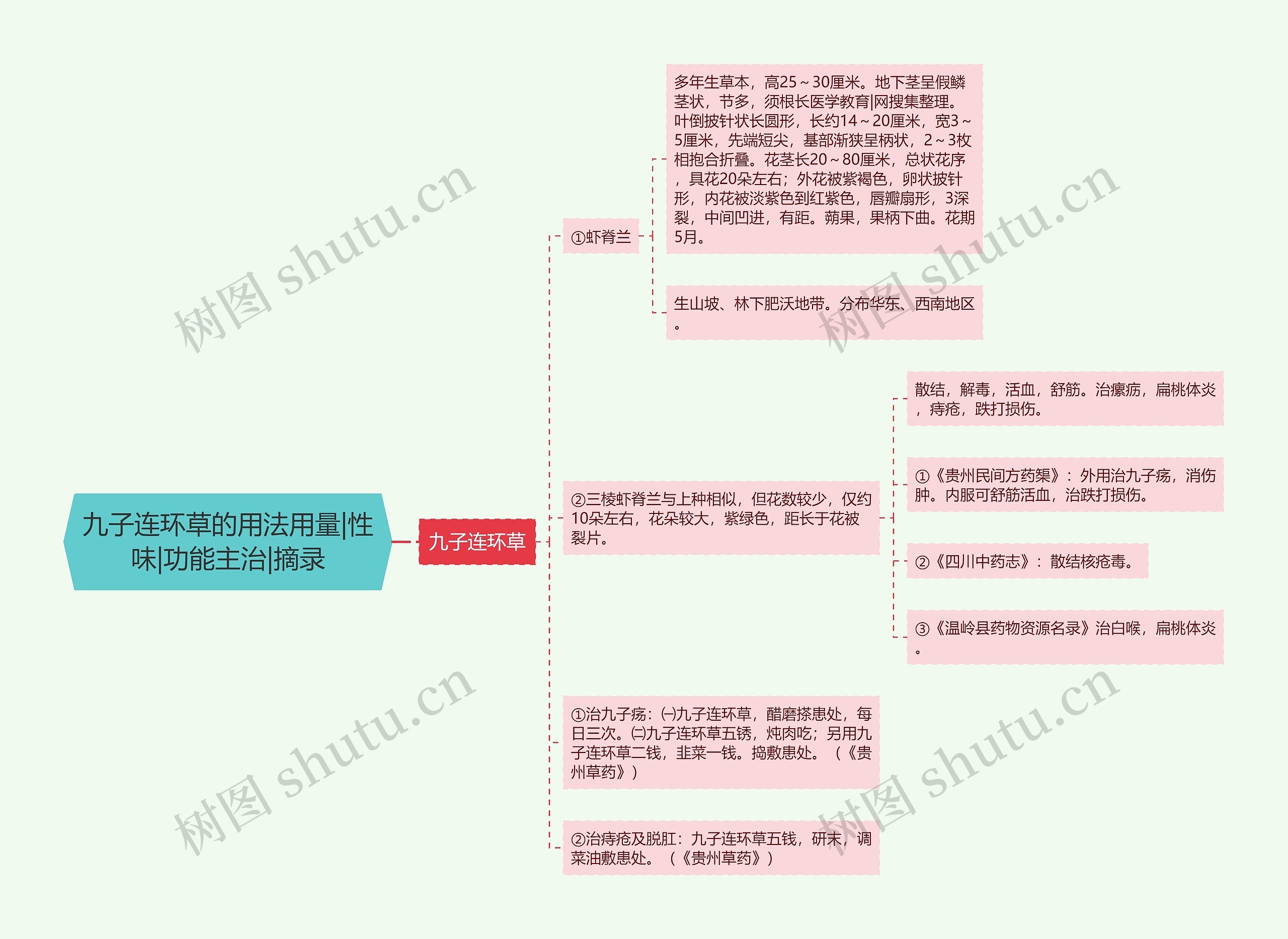 九子连环草的用法用量|性味|功能主治|摘录