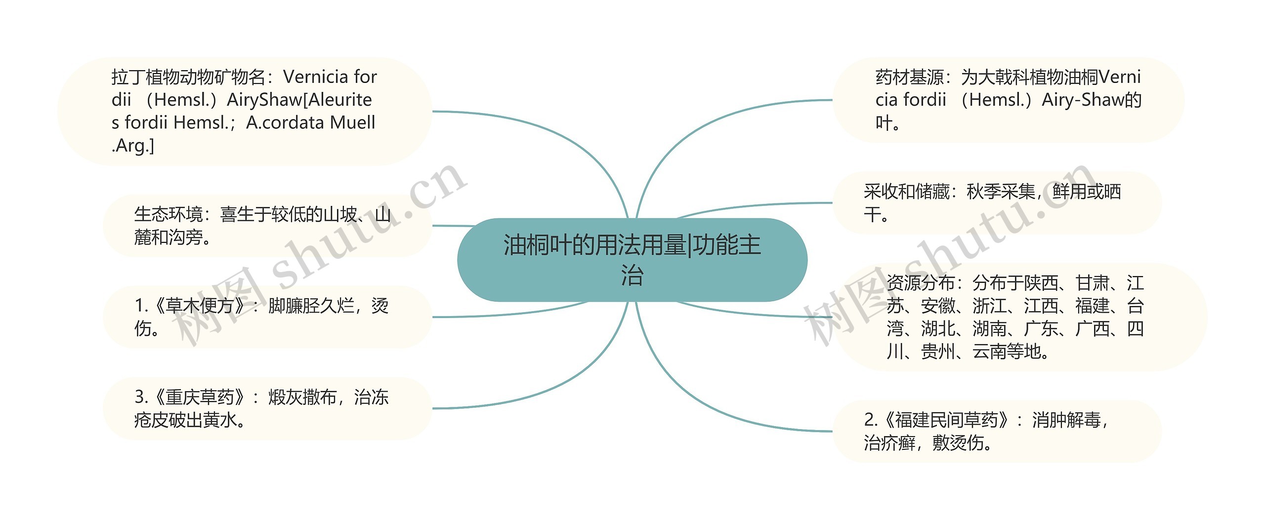 油桐叶的用法用量|功能主治思维导图