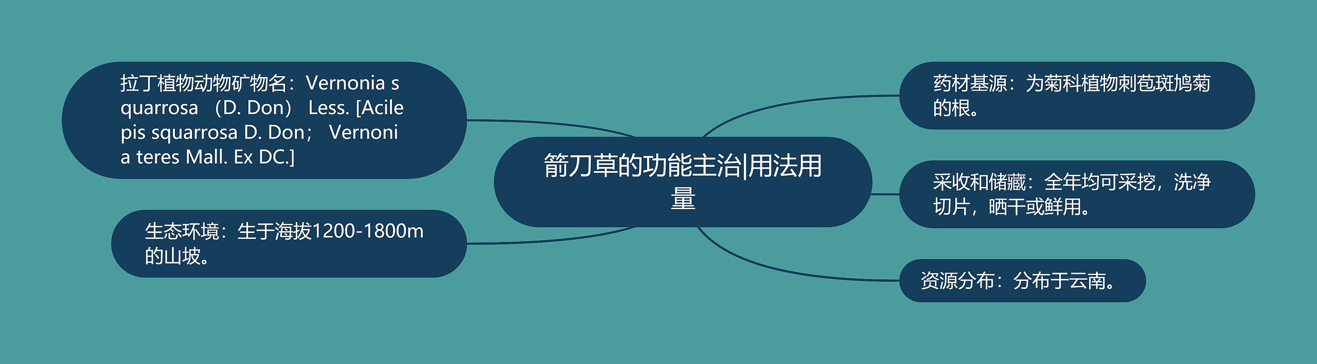箭刀草的功能主治|用法用量 箭刀草的功能主治|用法用量