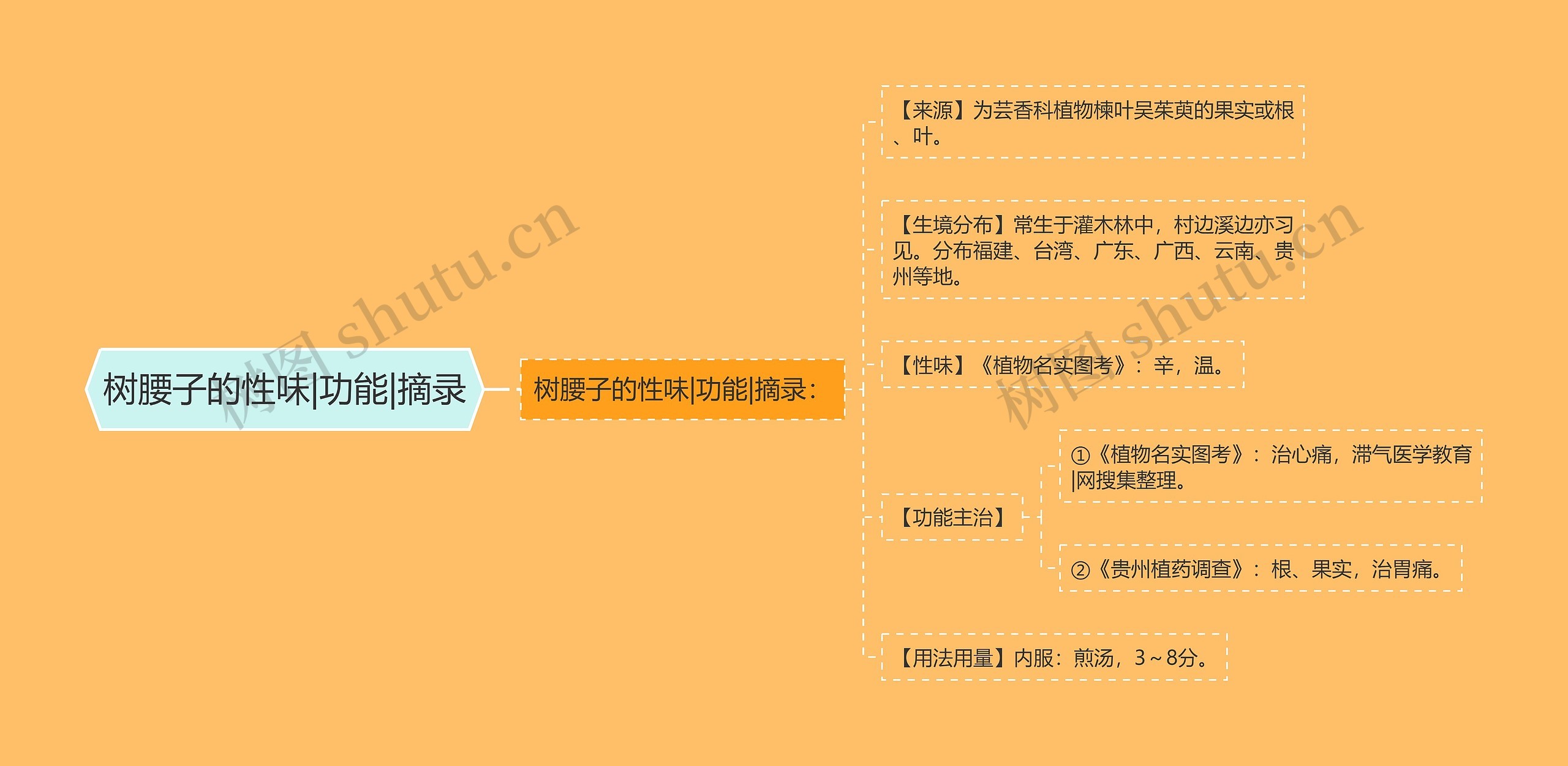 树腰子的性味|功能|摘录 树腰子的性味|功能|摘录