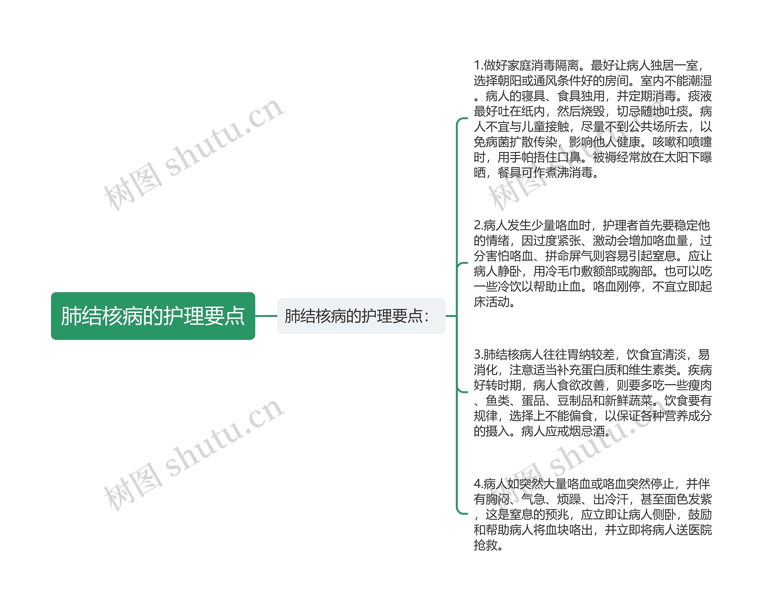 肺结核病的护理要点