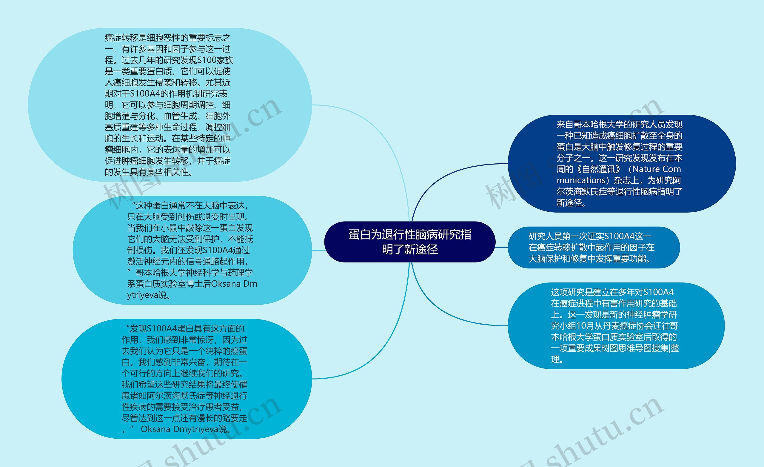 蛋白为退行性脑病研究指明了新途径