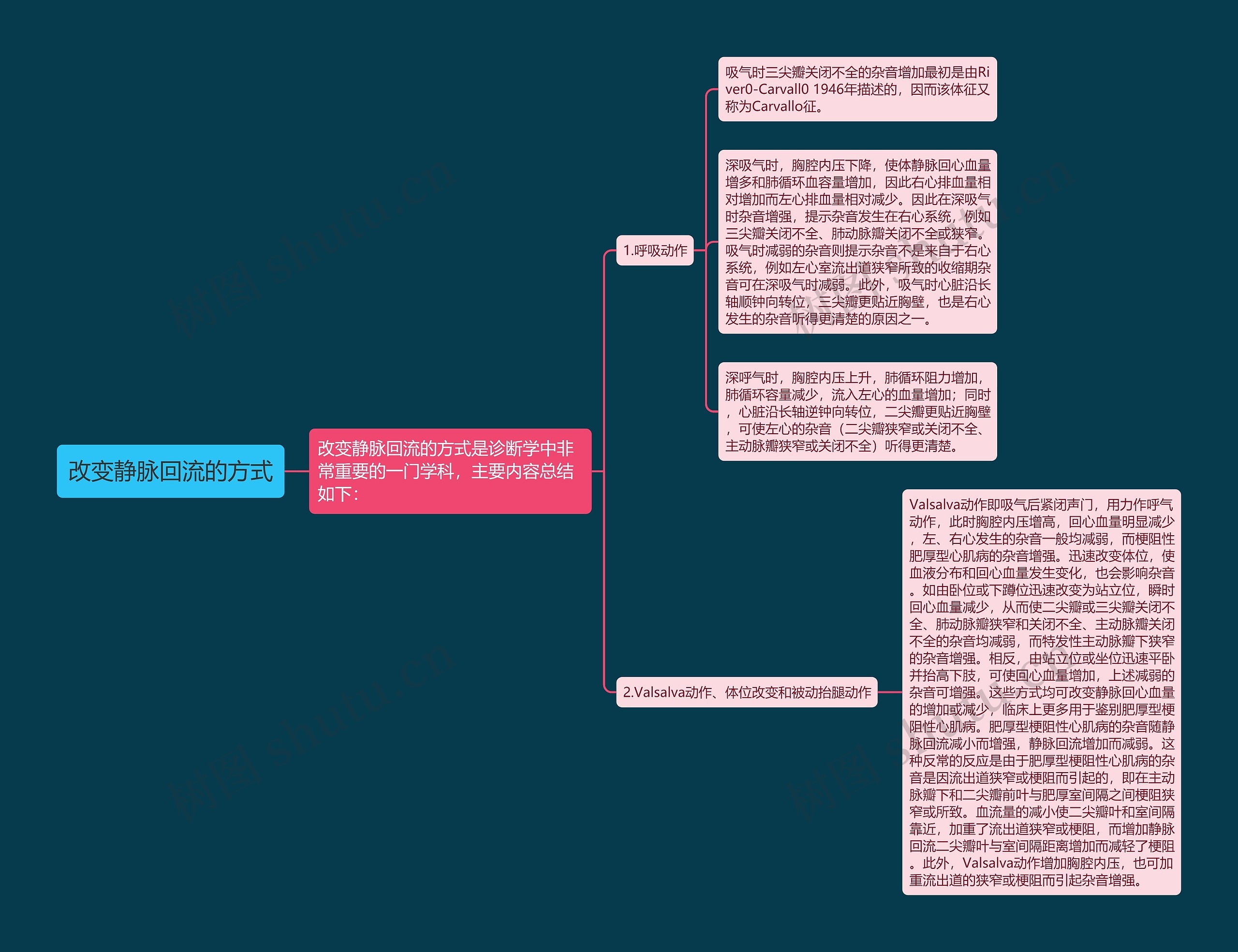 改变静脉回流的方式思维导图
