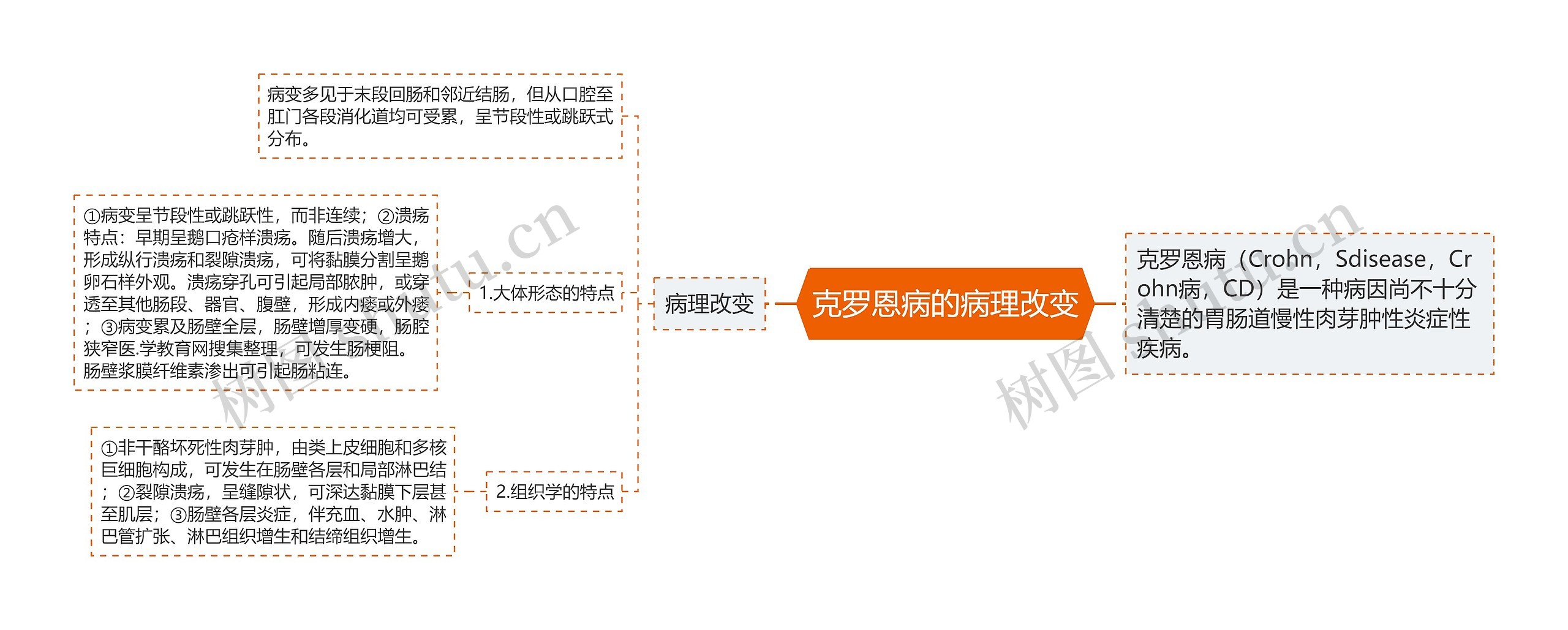 克罗恩病的病理改变思维导图