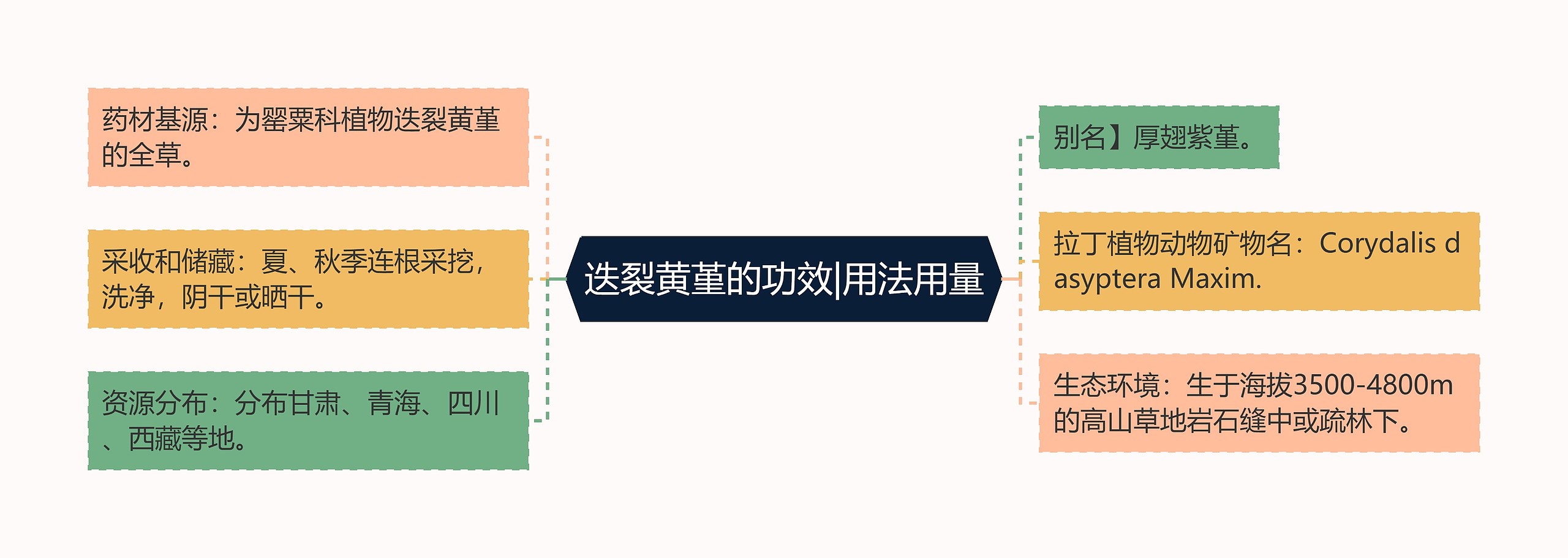 迭裂黄堇的功效|用法用量思维导图