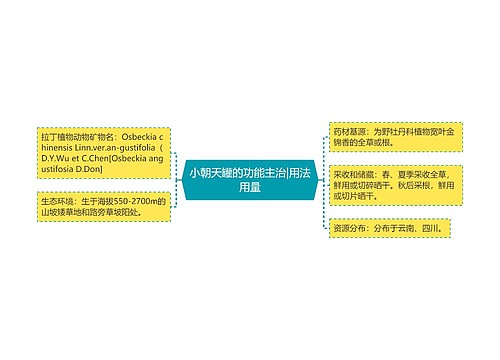 小朝天罐的功能主治|用法用量