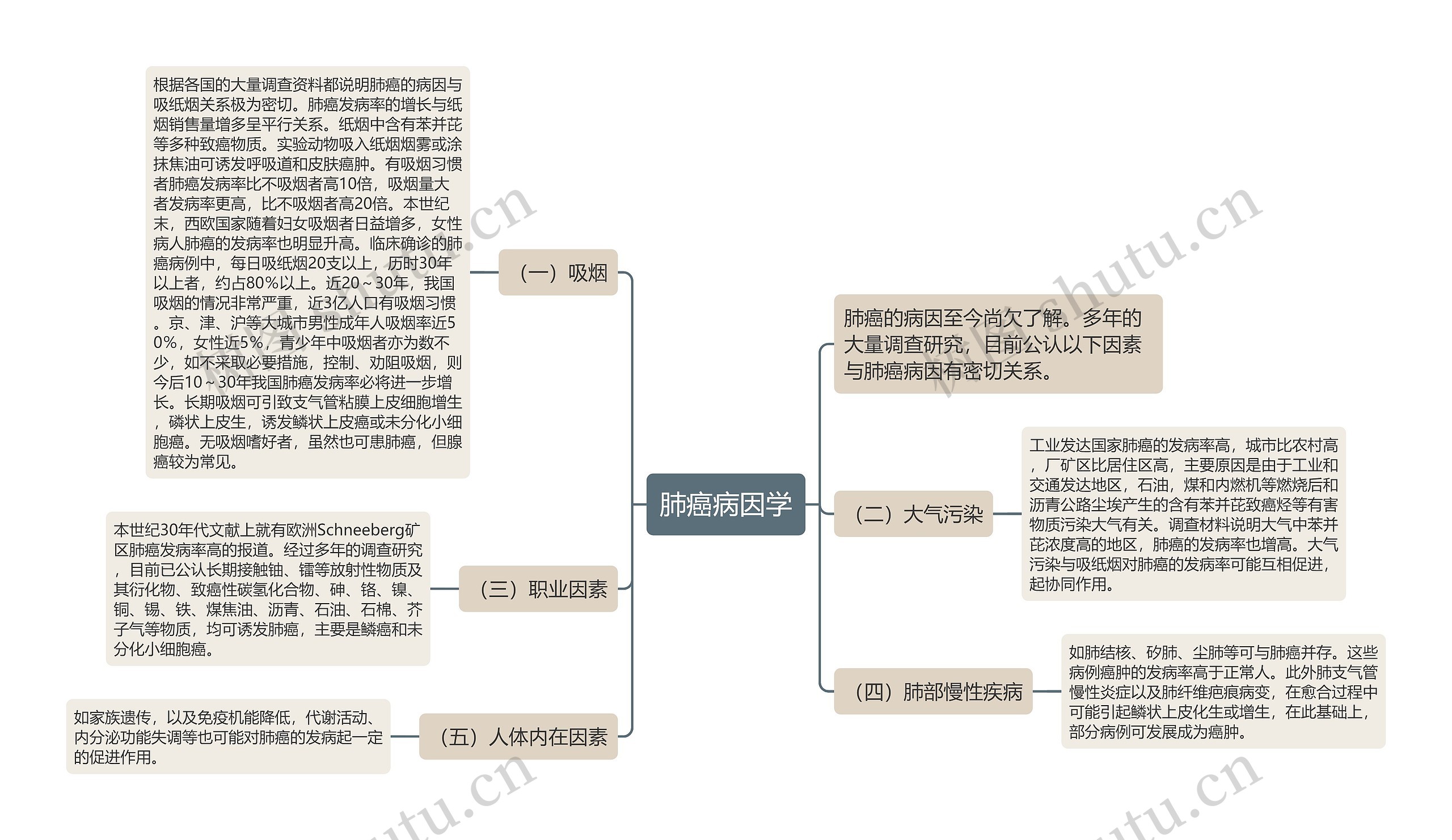 肺癌病因学 肺癌病因学