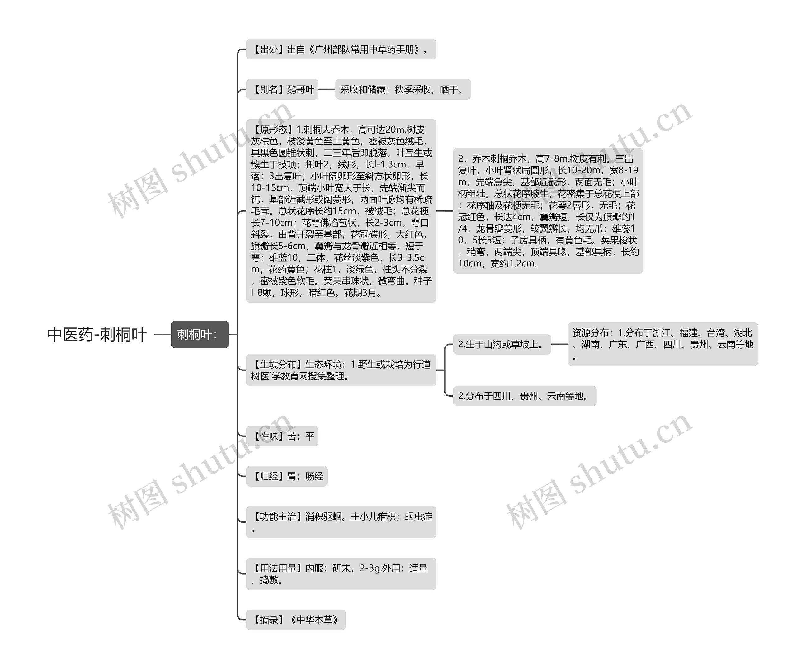 中医药-刺桐叶思维导图