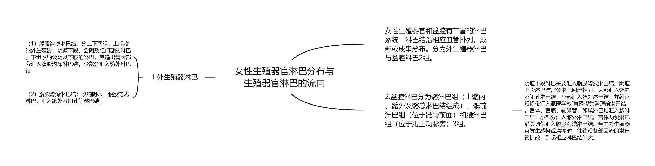 女性生殖器官淋巴分布与生殖器官淋巴的流向思维导图