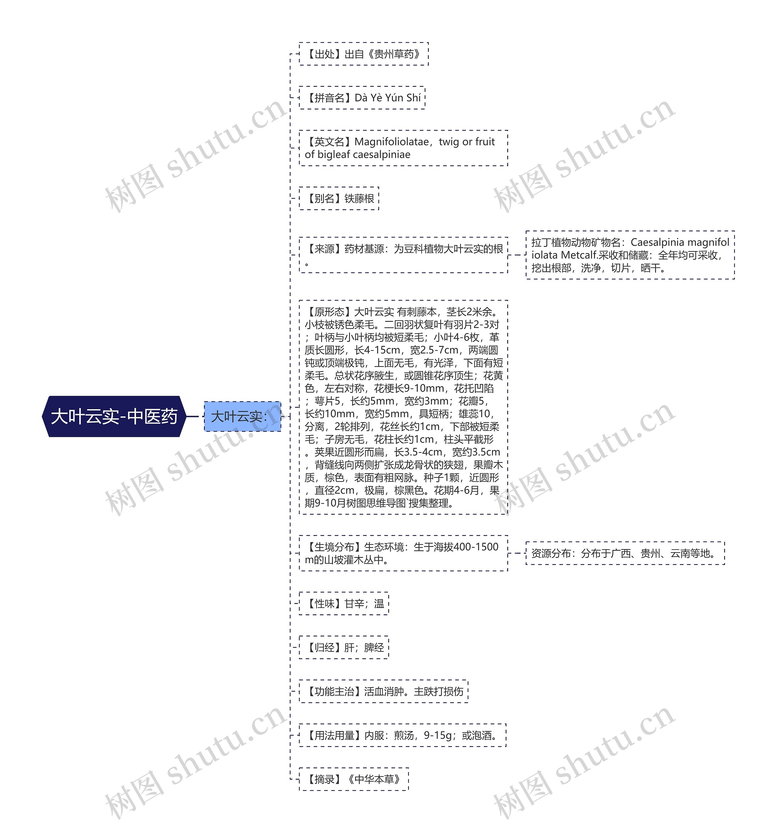 大叶云实-中医药 大叶云实-中医药
