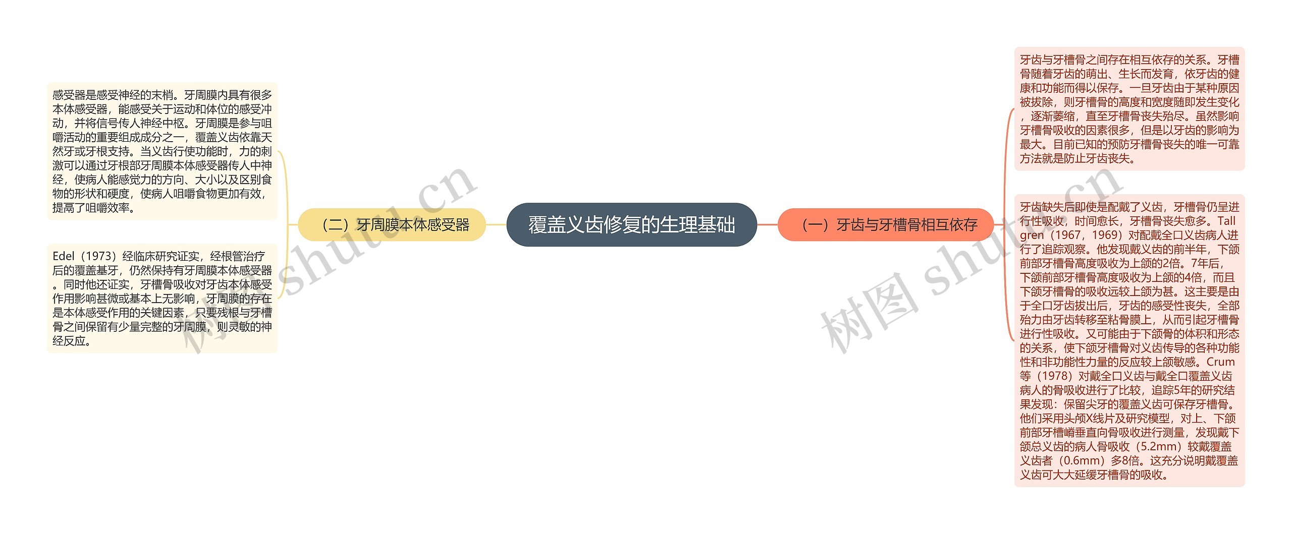 覆盖义齿修复的生理基础 覆盖义齿修复的生理基础