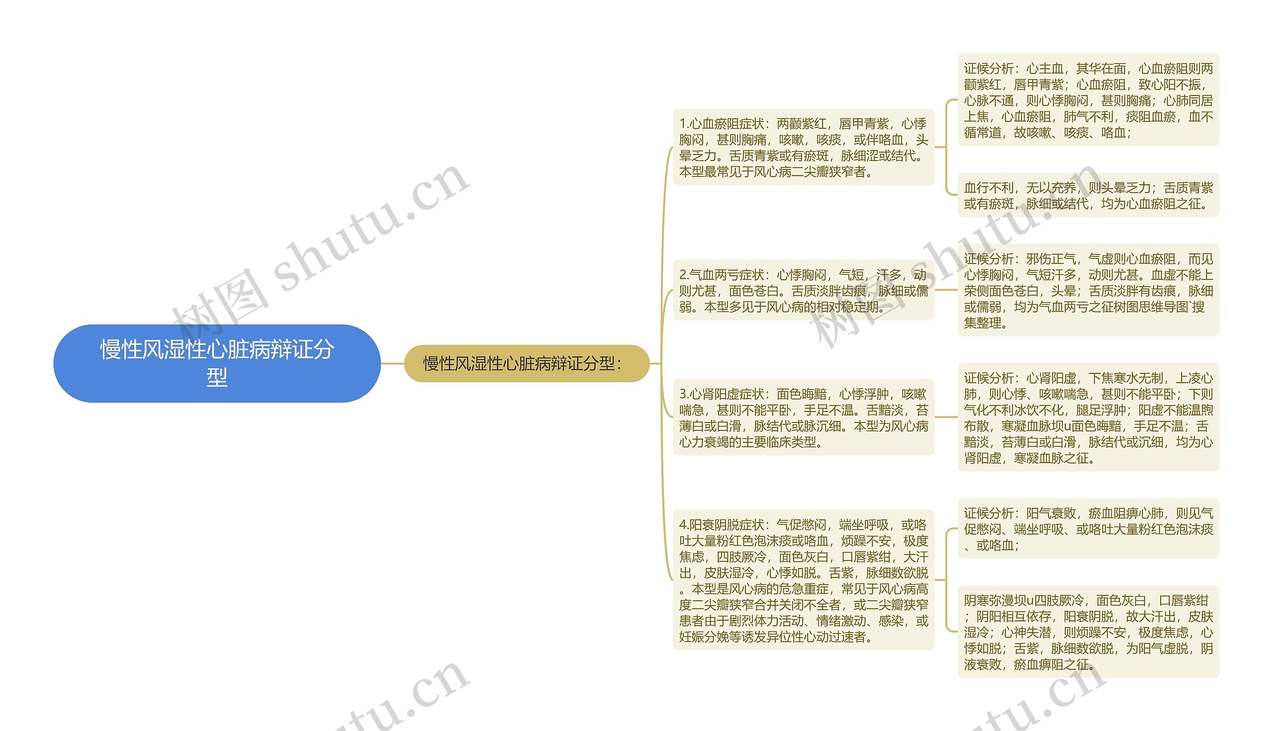 慢性风湿性心脏病辩证分型思维导图